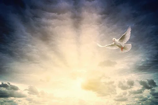 light-5315917__340.webp