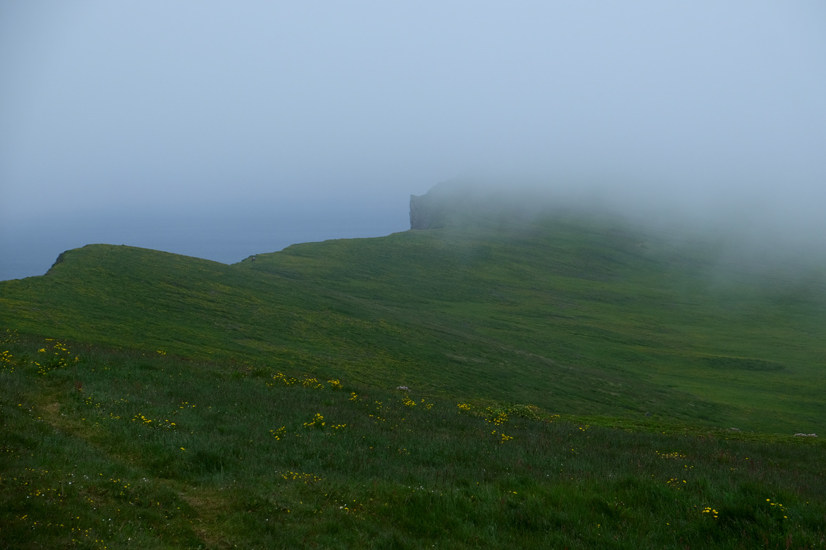 DSCF3297.jpg