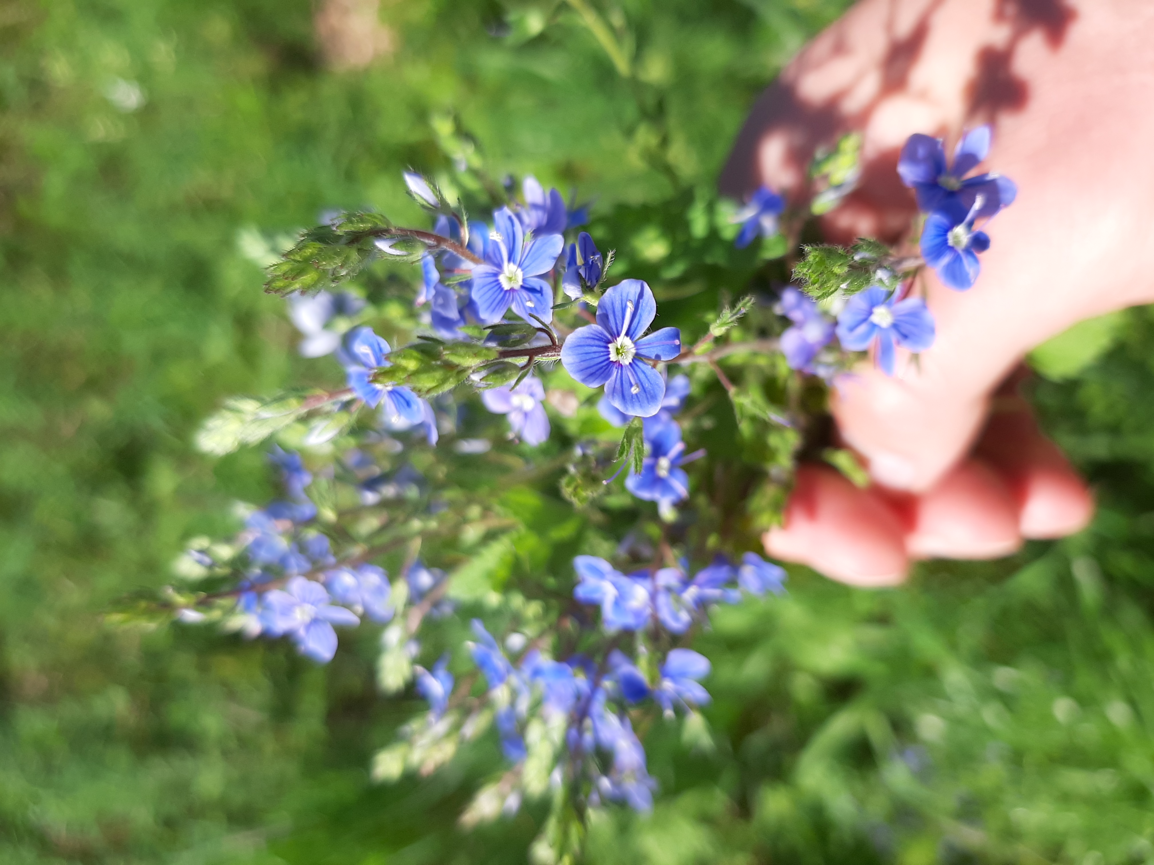 20260604_112800.jpg