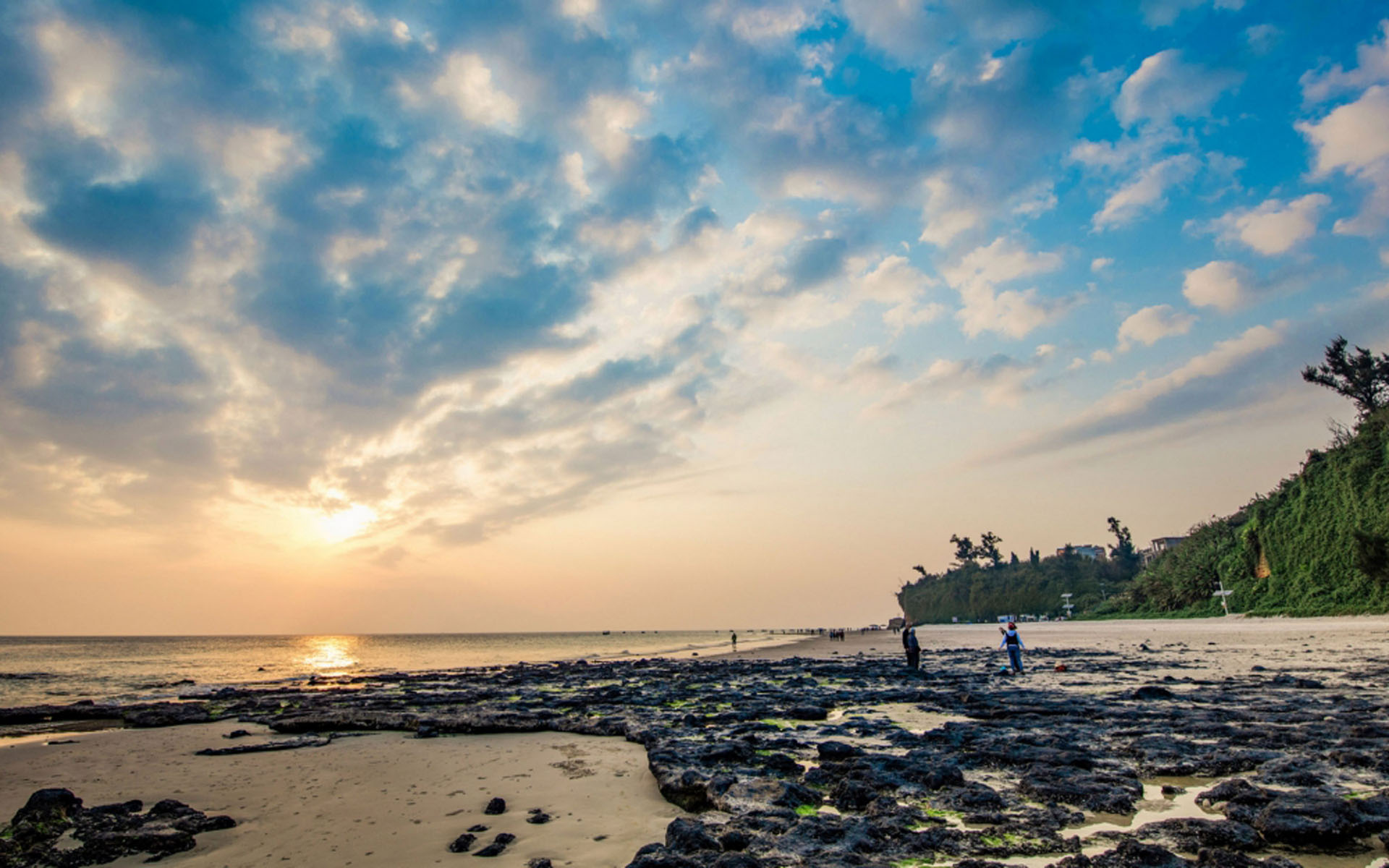 《飞鸟与夏花》每天一首自译飞鸟集（208/325） - Translate a poem form Stray Birds everyday
