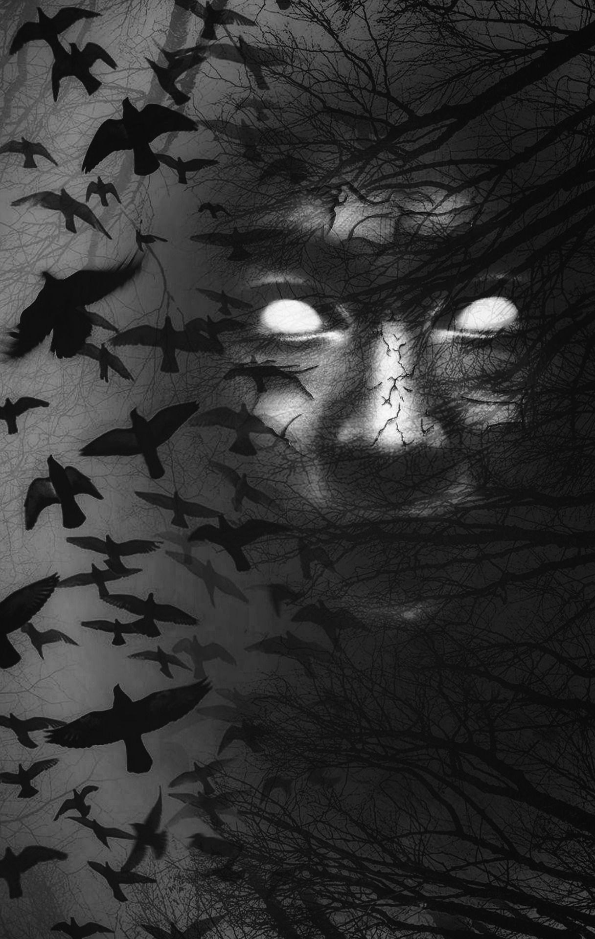 darkness-g3635a307d_1920.jpg