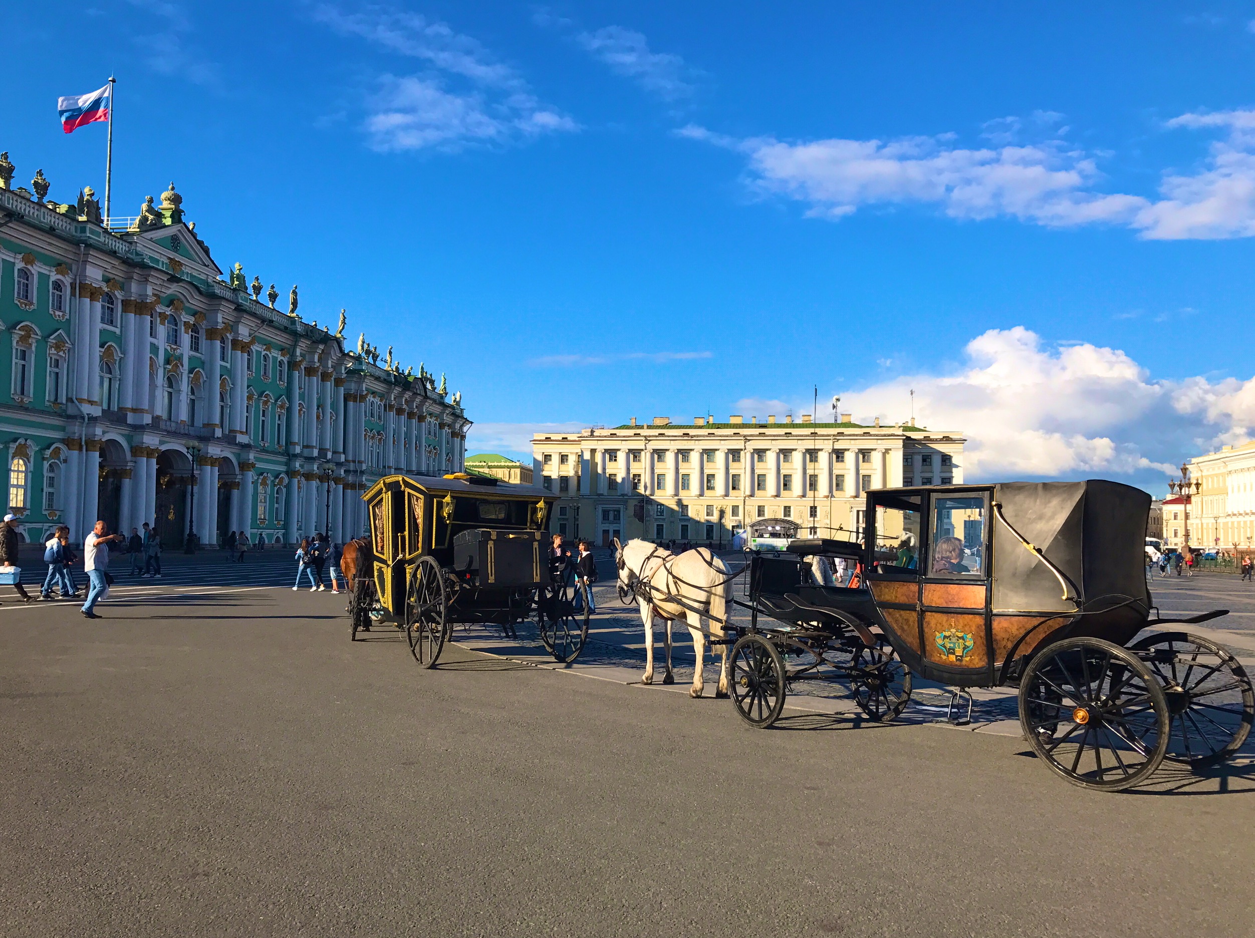 Лошади на дворцовой площади