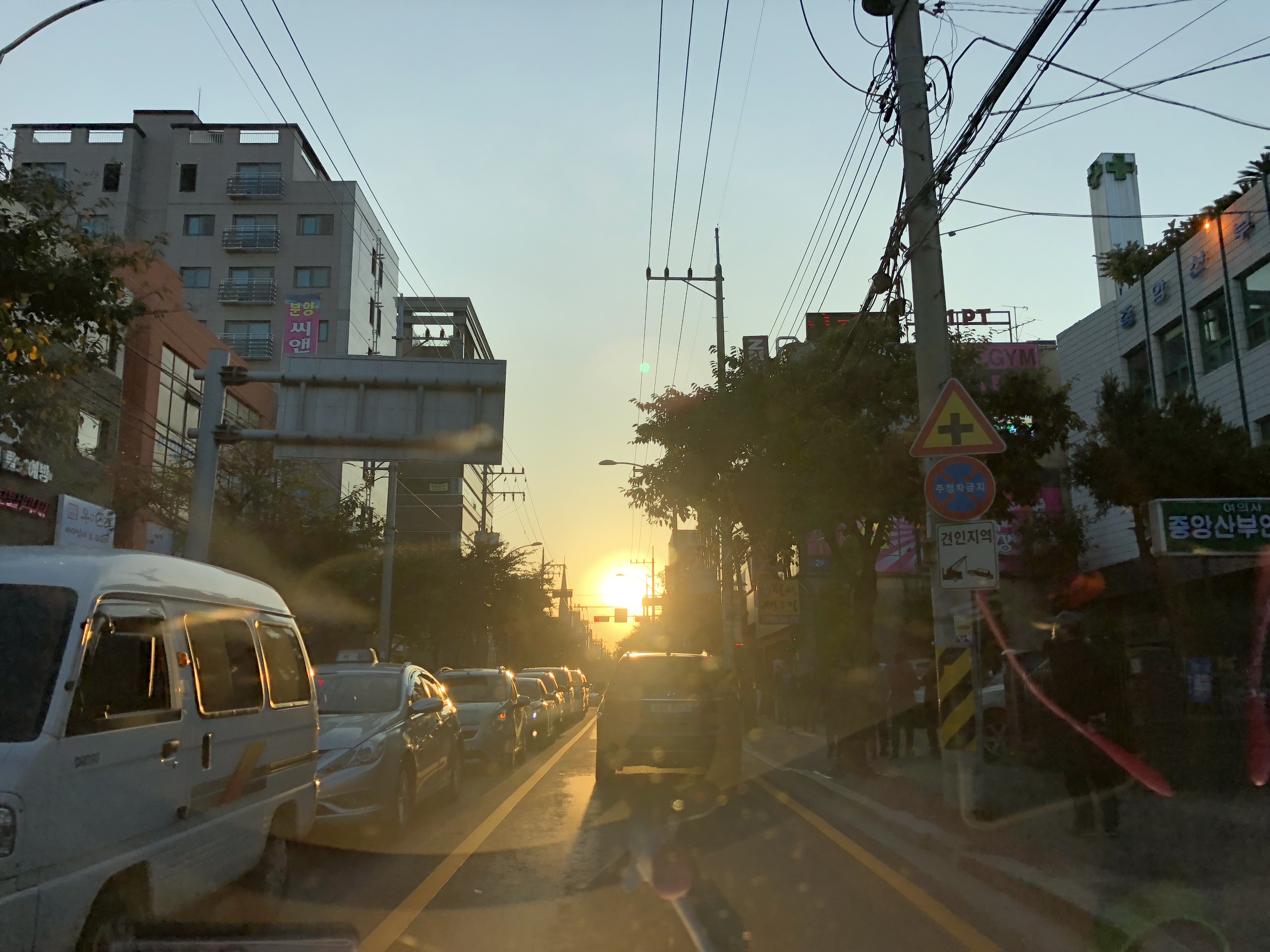 IMG_4663.jpeg