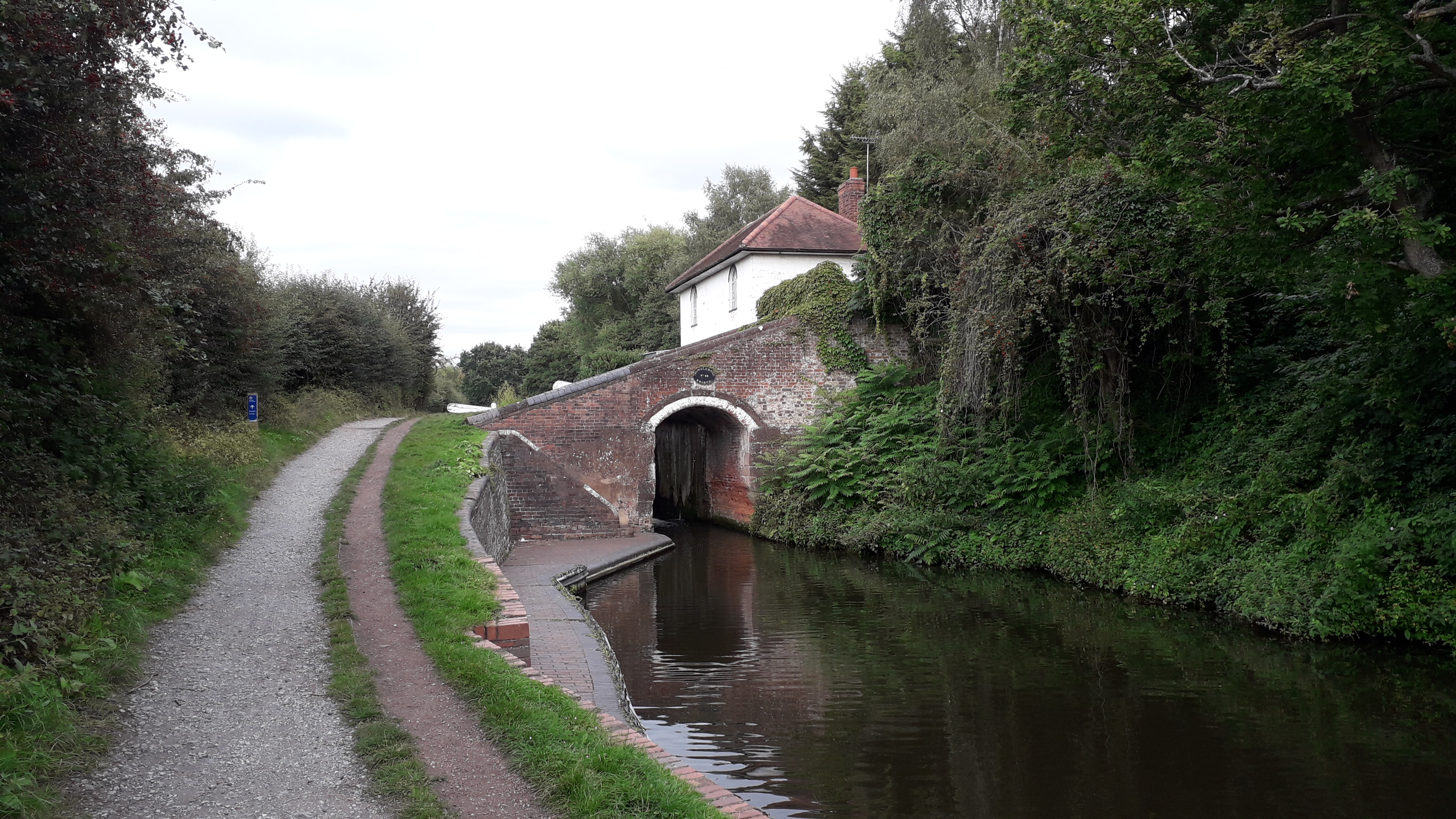 20210829_164826.jpg