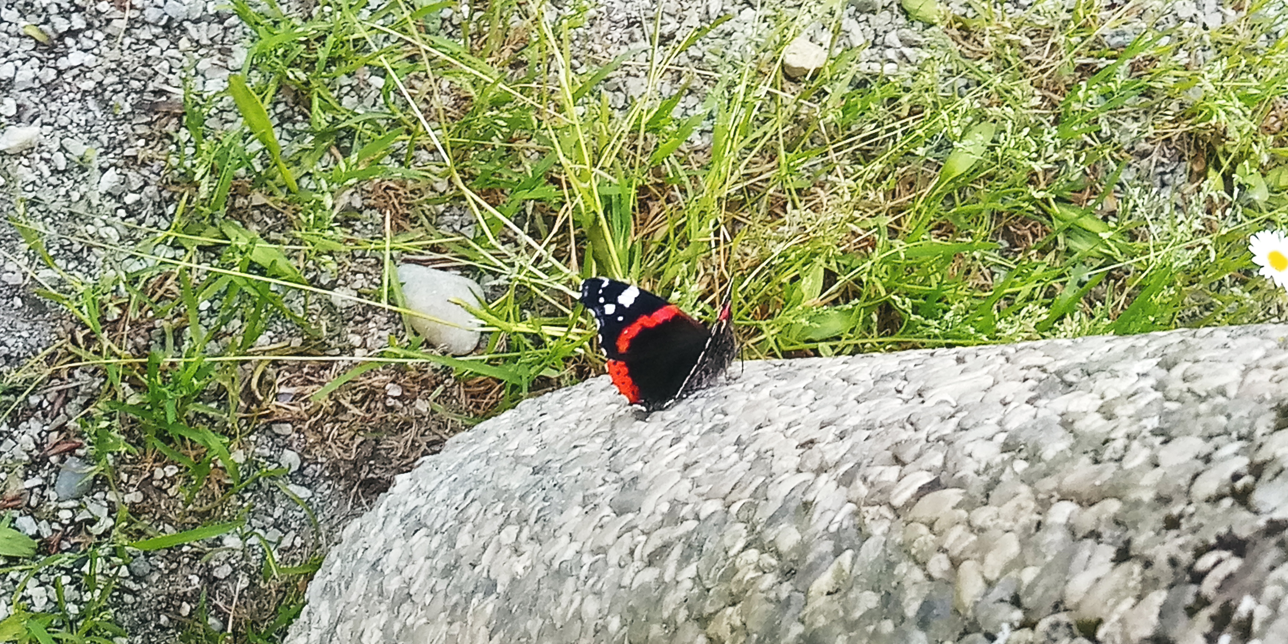 20220513_150237.jpg
