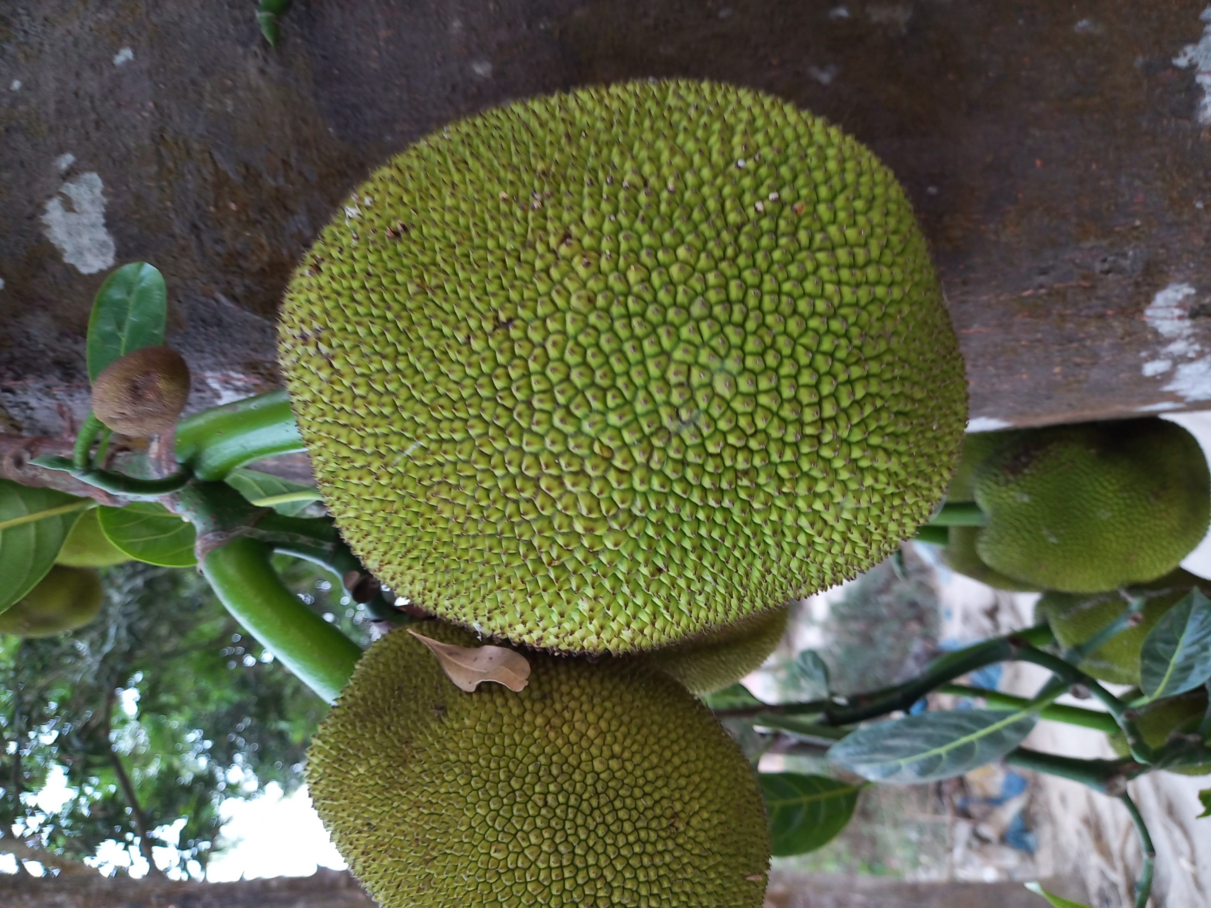 20230407_181838.jpg