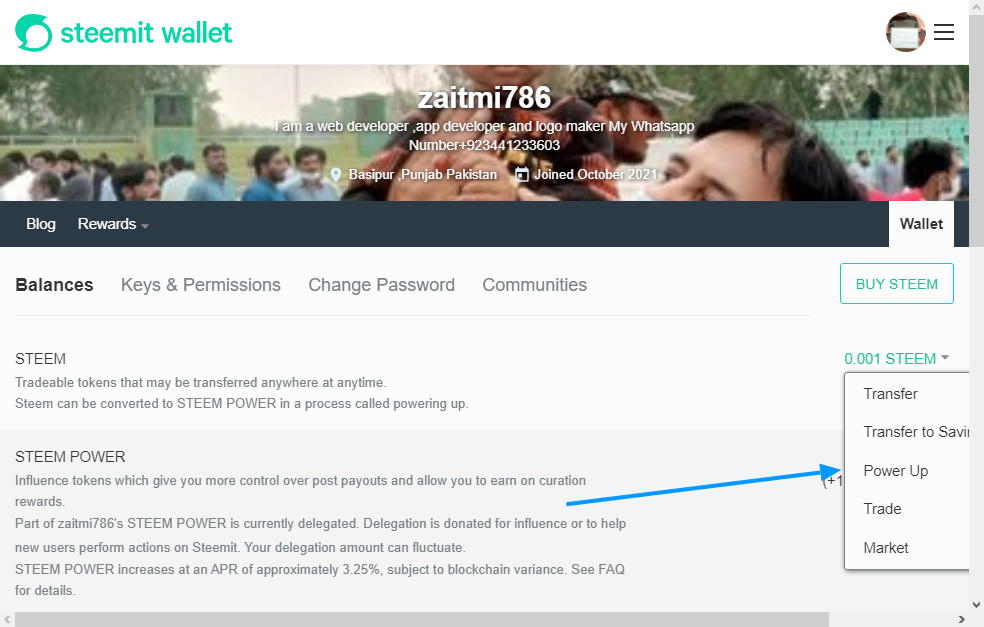 Opera Snapshot_2022-01-23_003157_steemitwallet.com.png