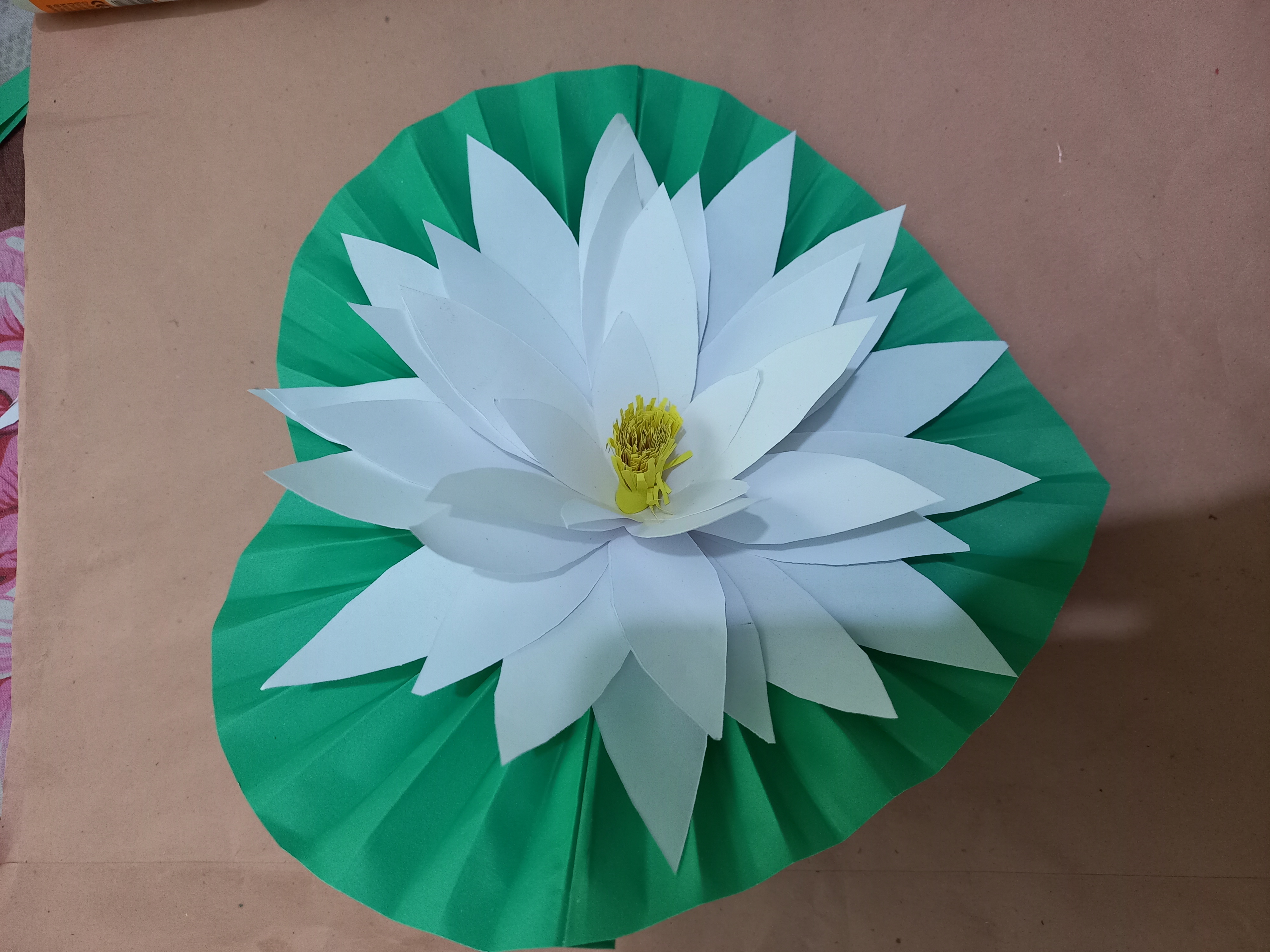 20220126_121354.jpg