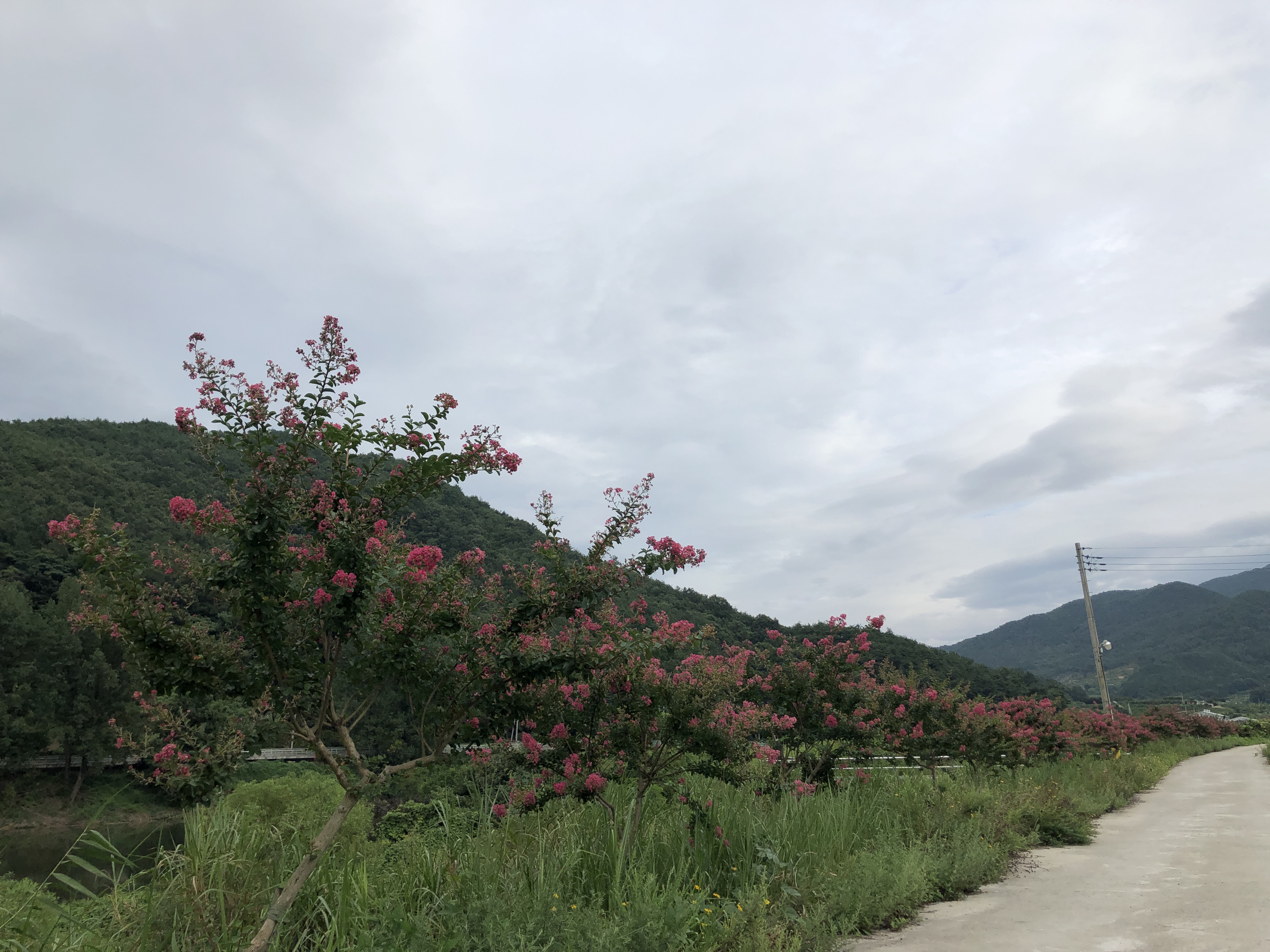 C7E7846C-25A7-453D-8091-D2F378436368.jpeg