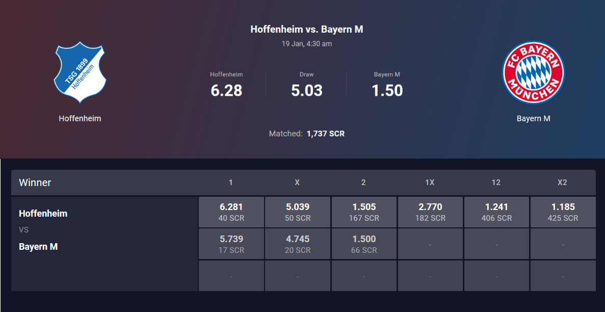 hoffenheim2.png