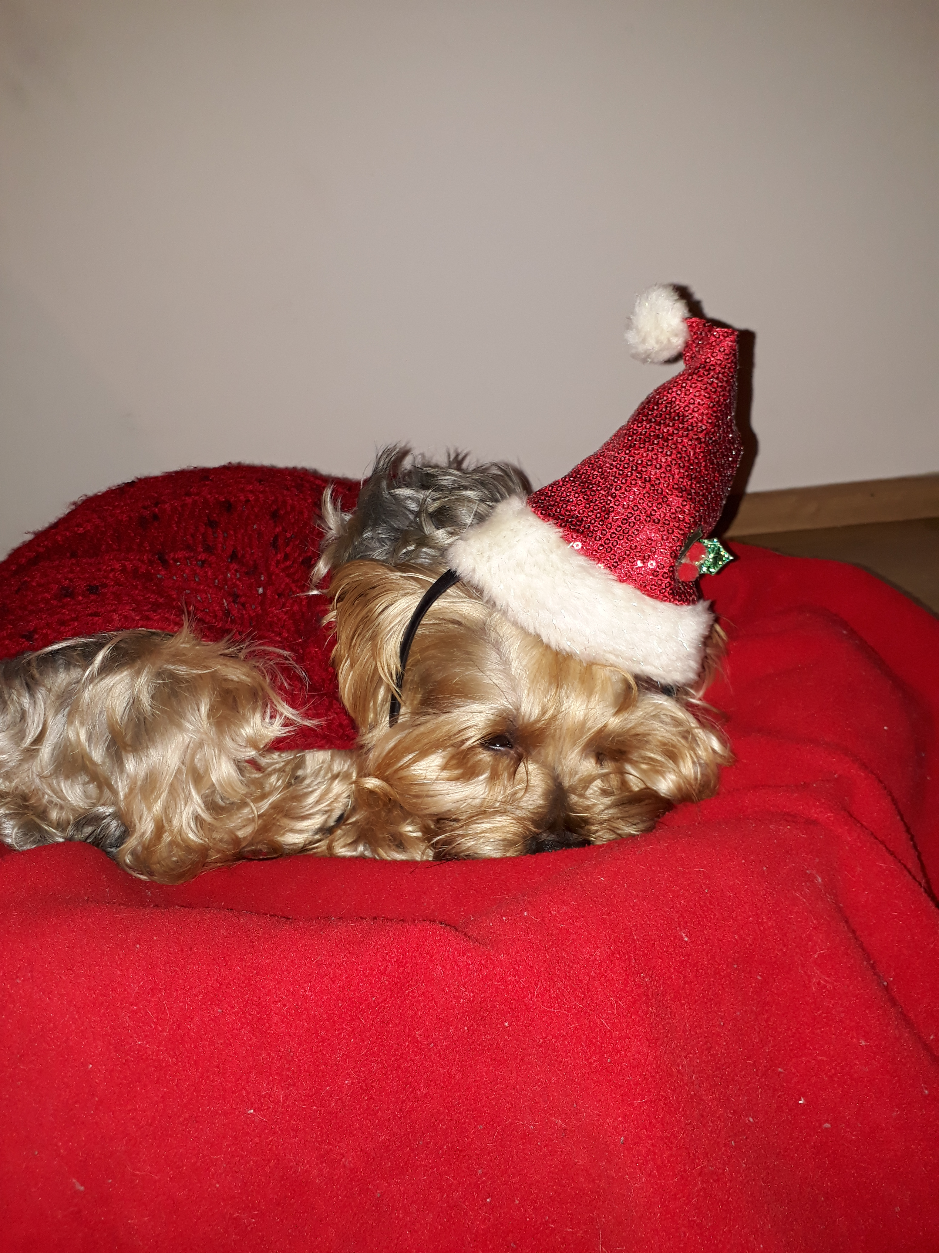 20171230_202108.jpg
