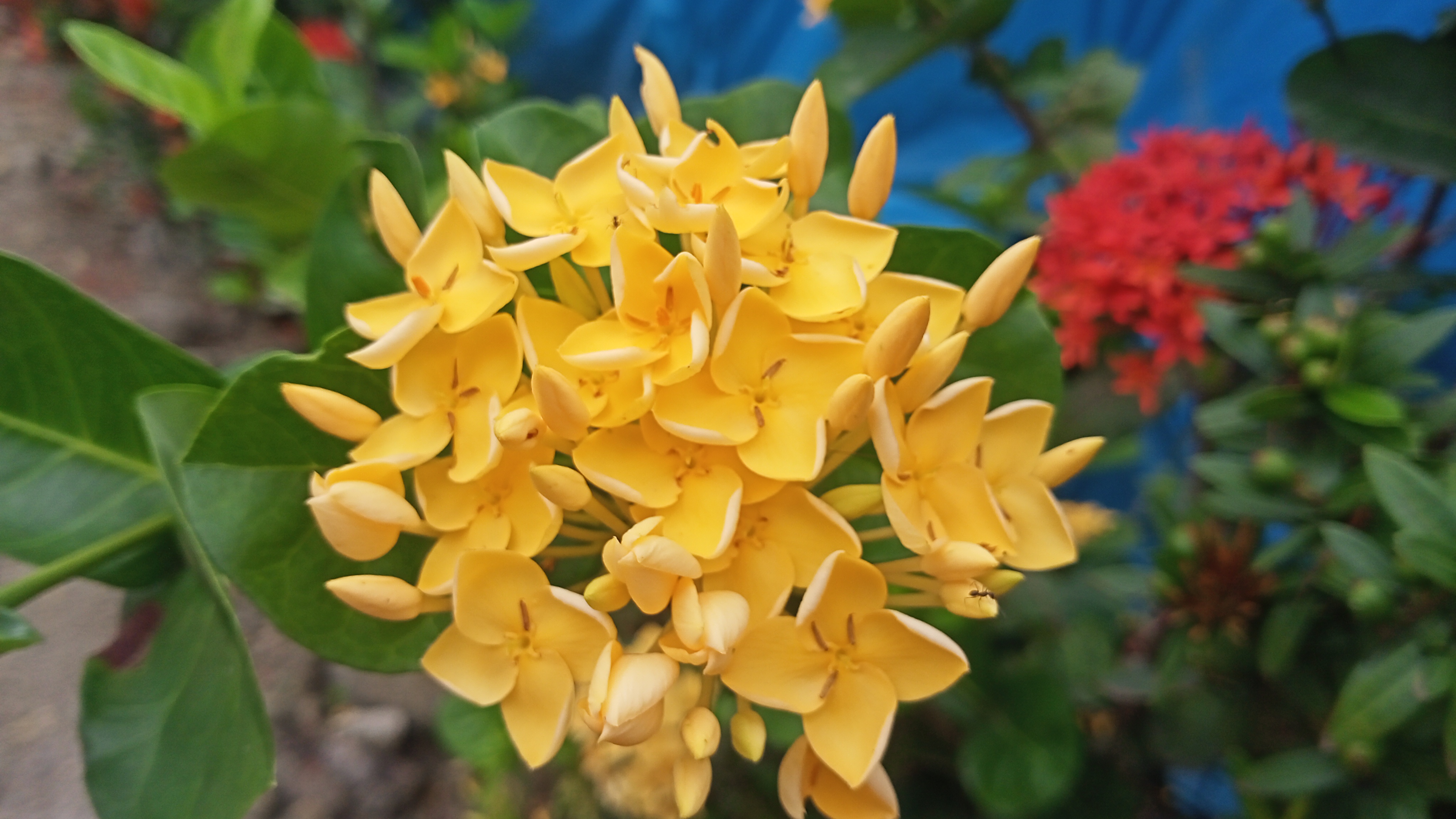 IMG20250520105205.jpg