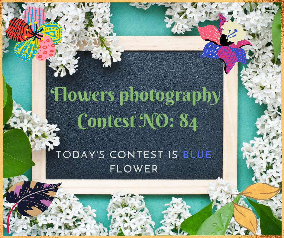 Flowers photography Contest (2).png