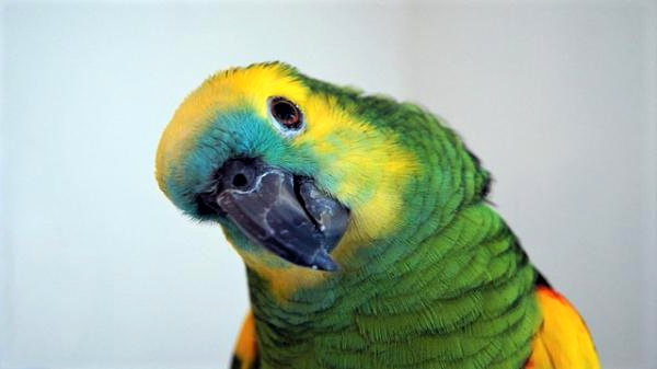 EWWaYBqWAAAusX1 (2).png