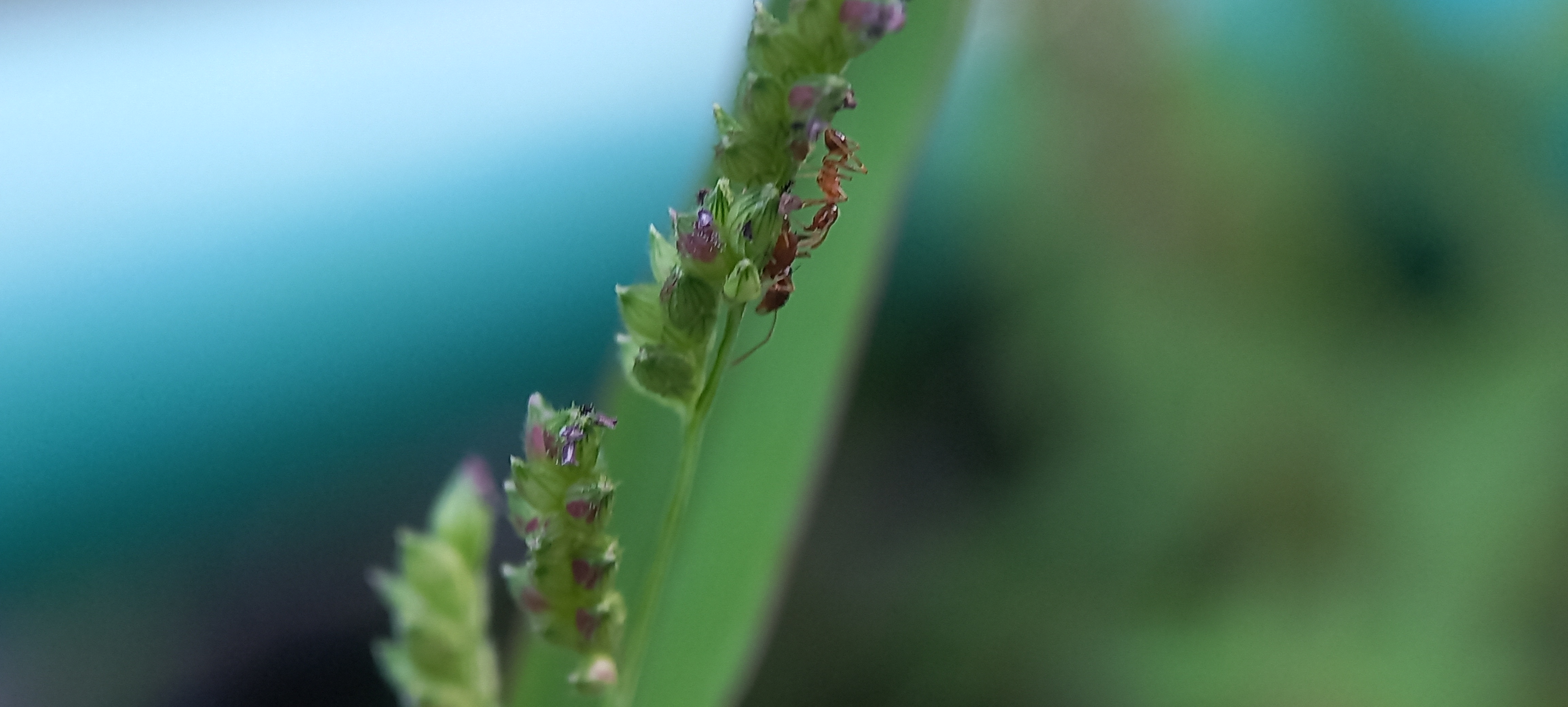 20220917_171127.jpg
