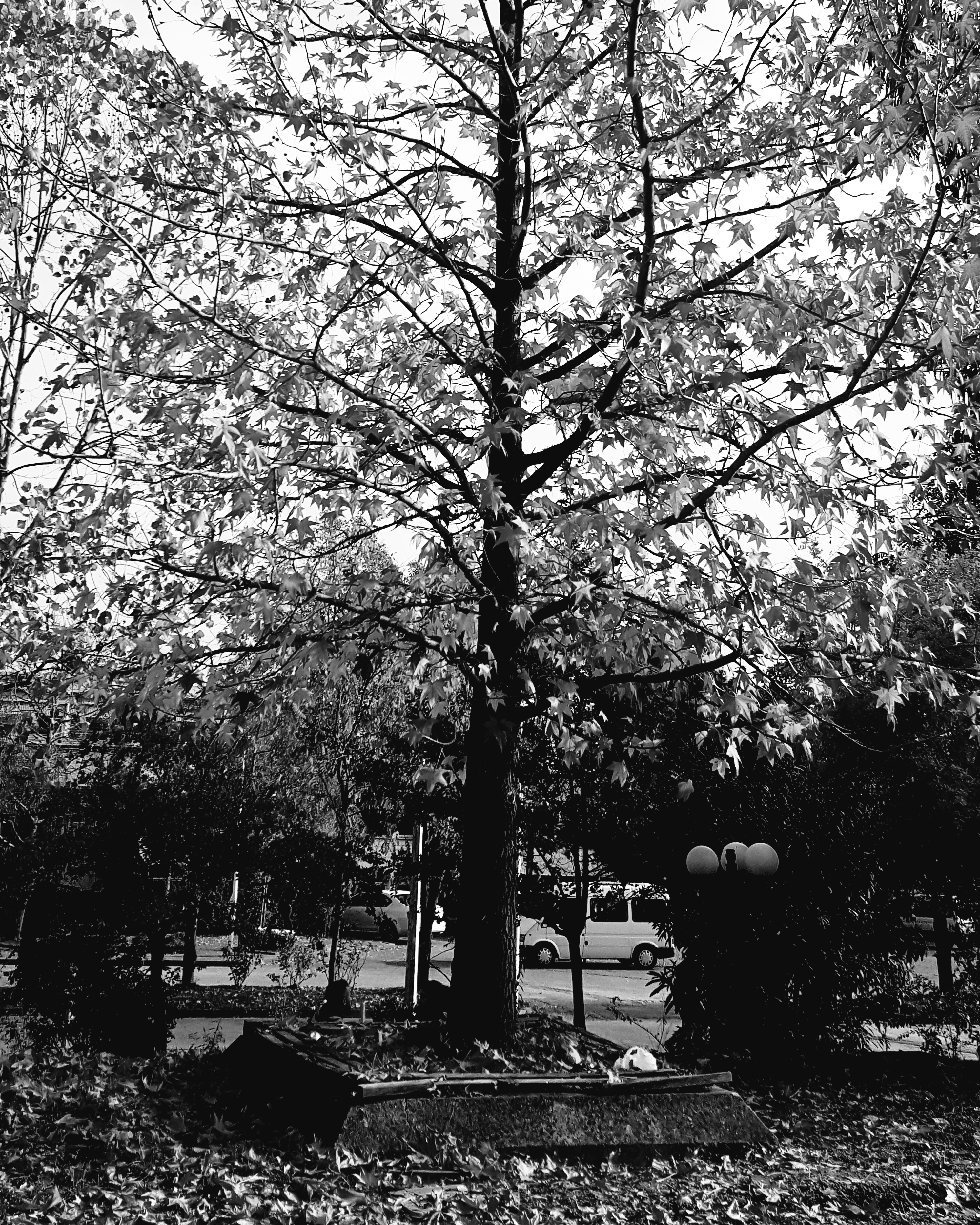 20180613_233539.jpg