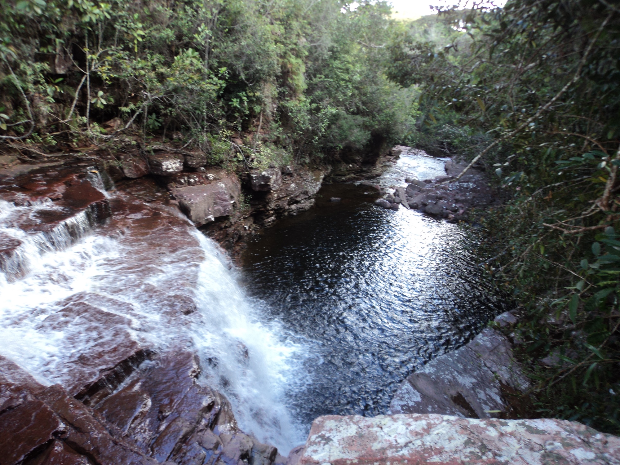 DSC01682a.jpg
