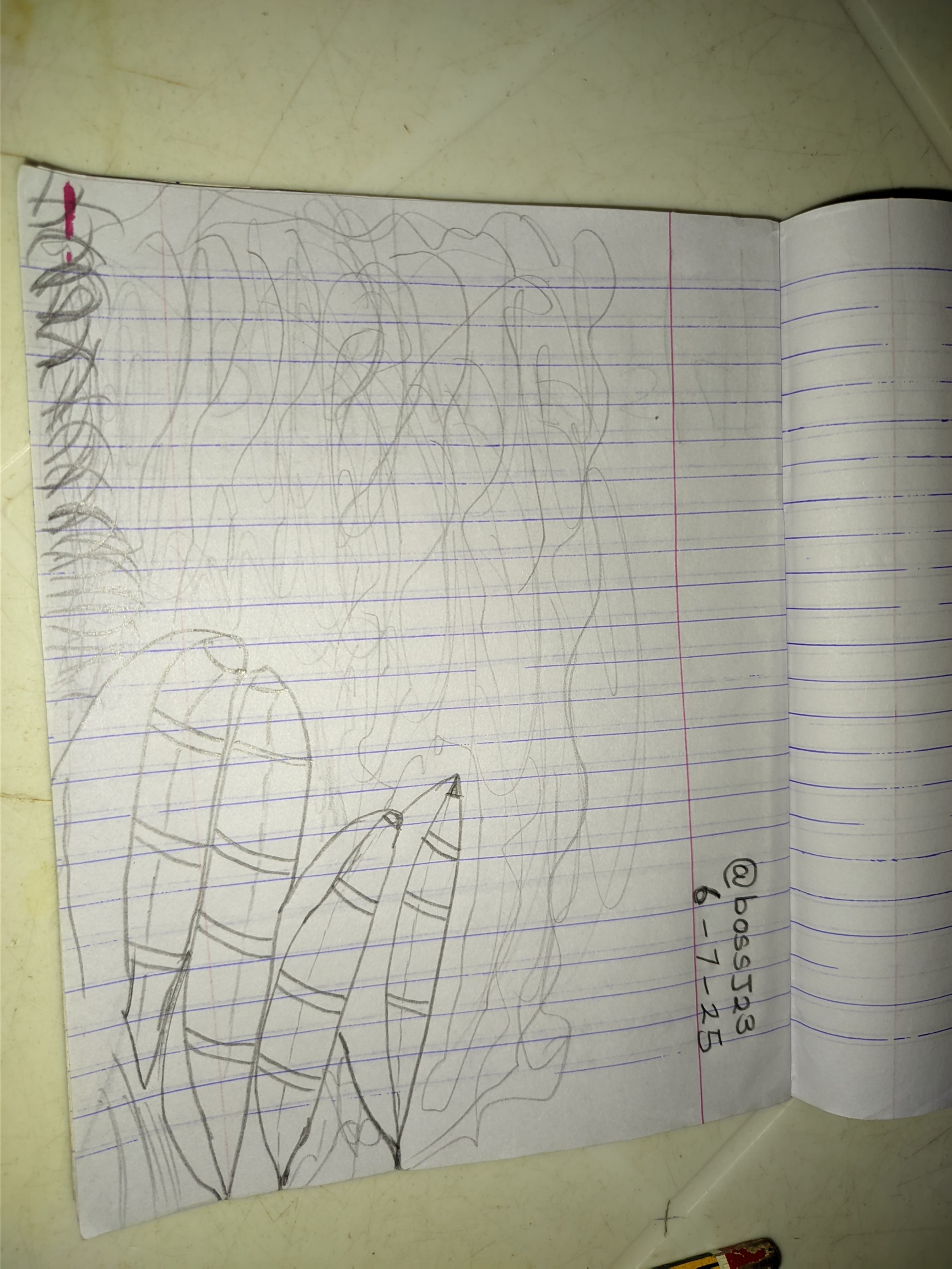 1000960654.jpg