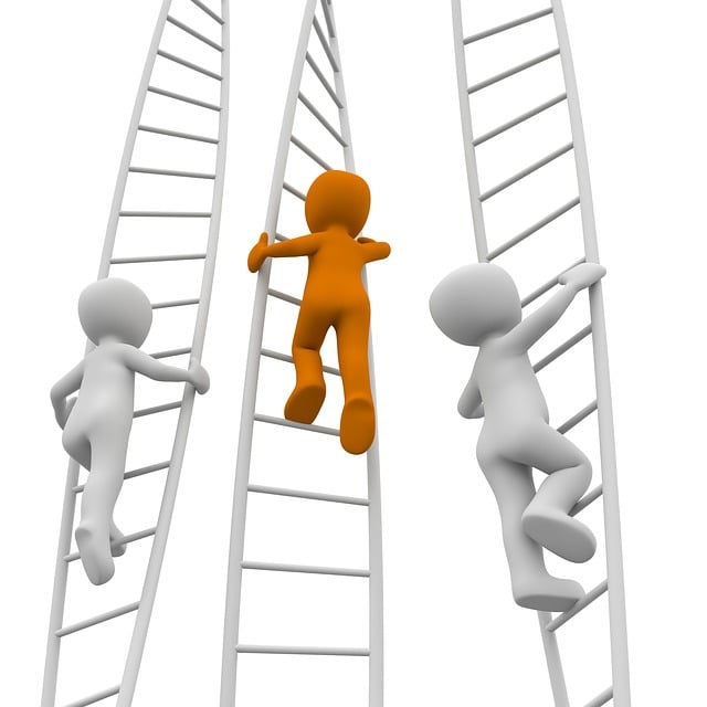 career-1019755_640.jpg