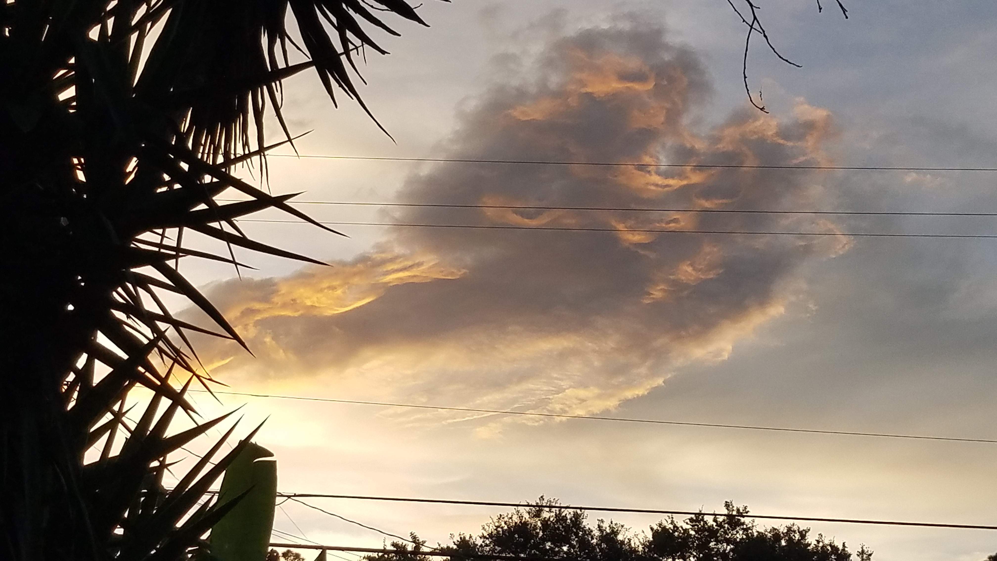 20181024_183910.jpg