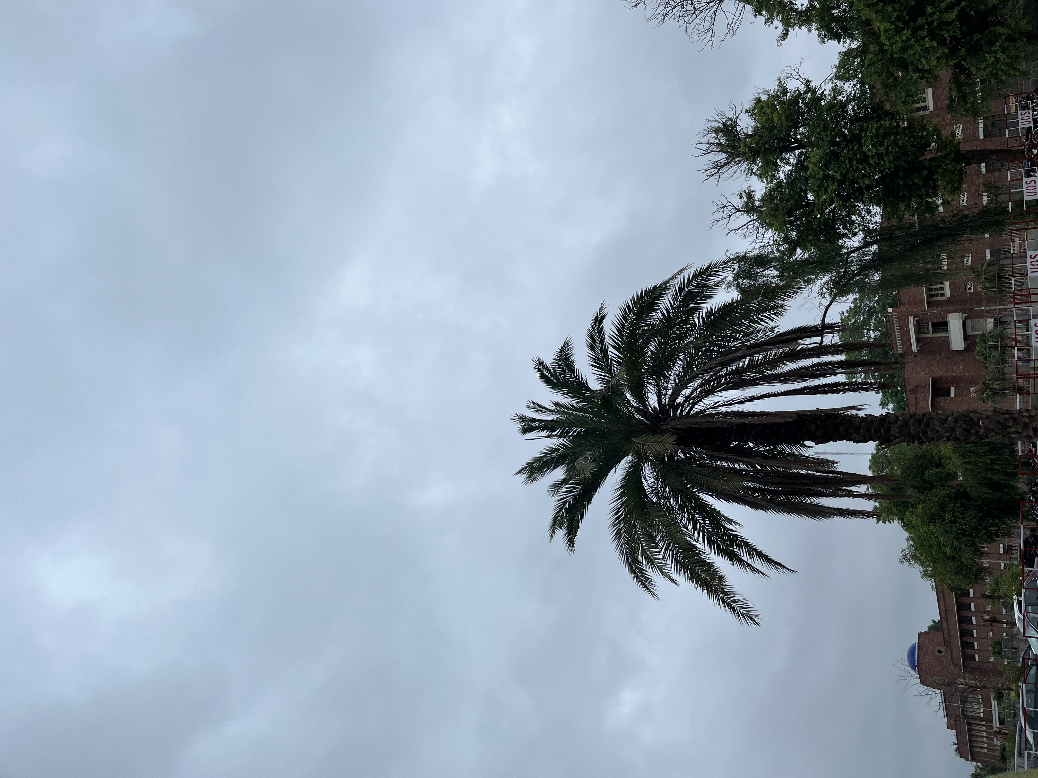 IMG_2876.jpeg