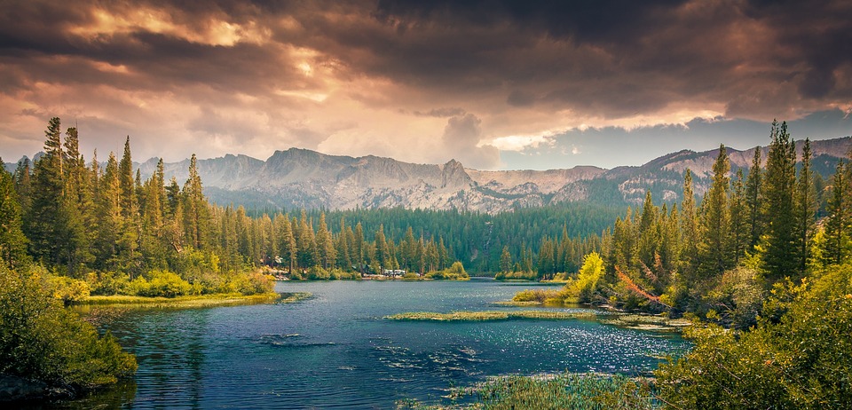 landscape-336542_960_720.jpg