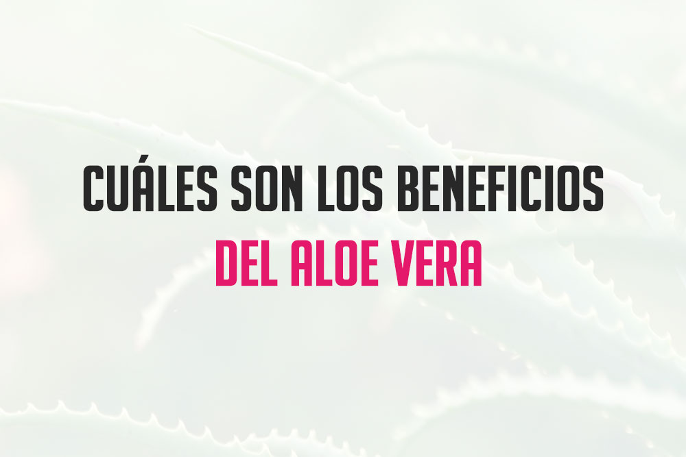 aloe-vera-banner-beneficios.jpg