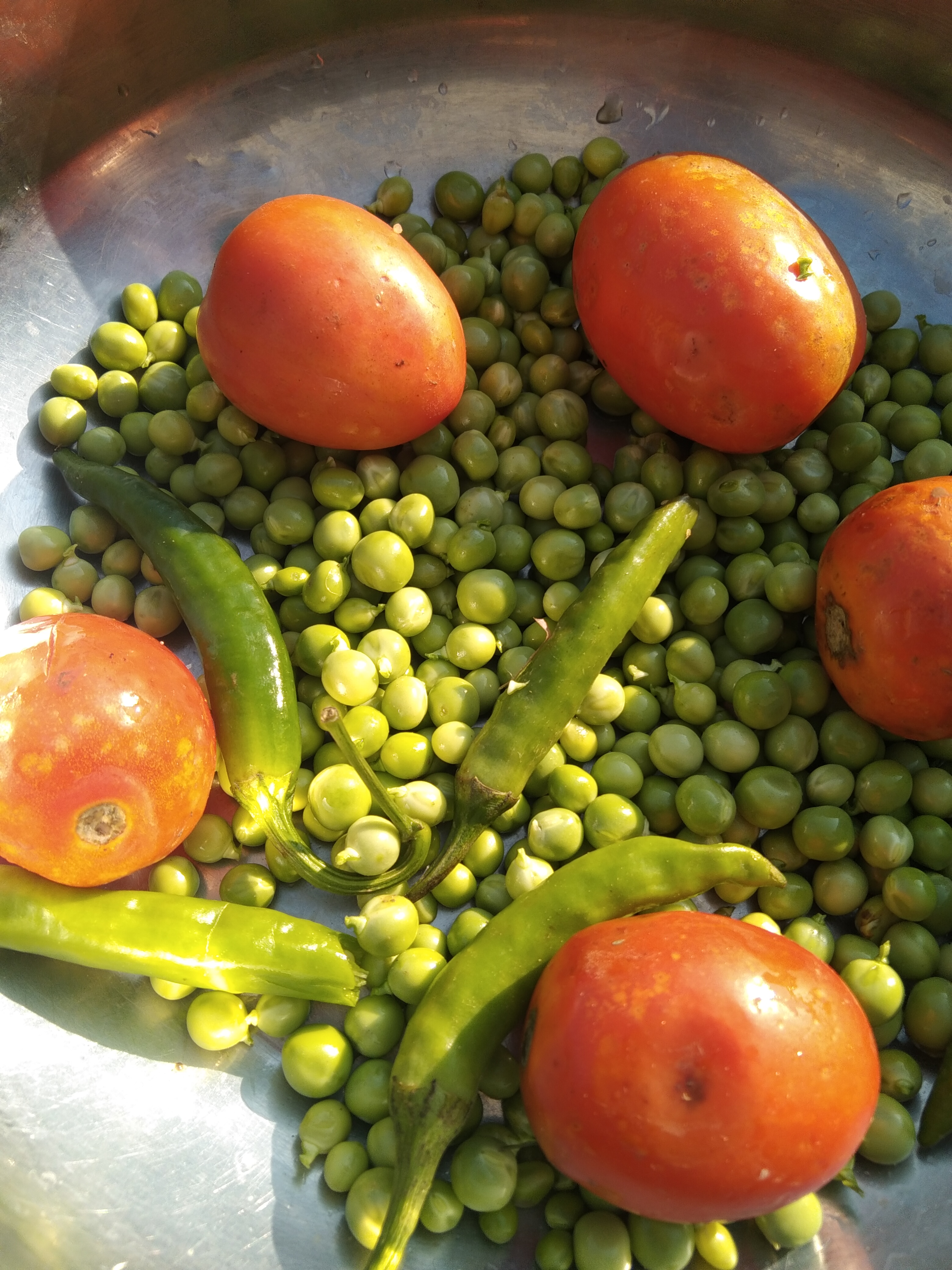 IMG_20220125_103421.jpg