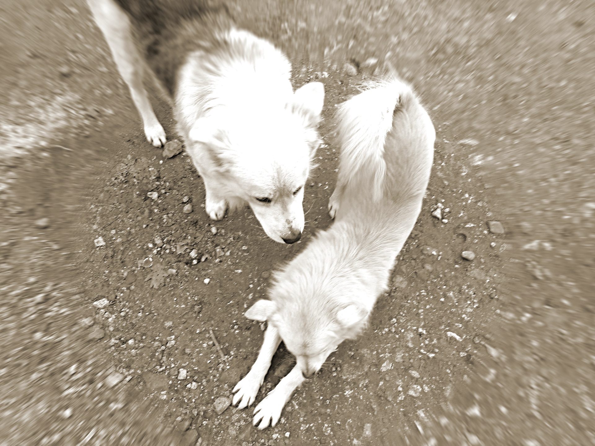 20181208_140105.jpg