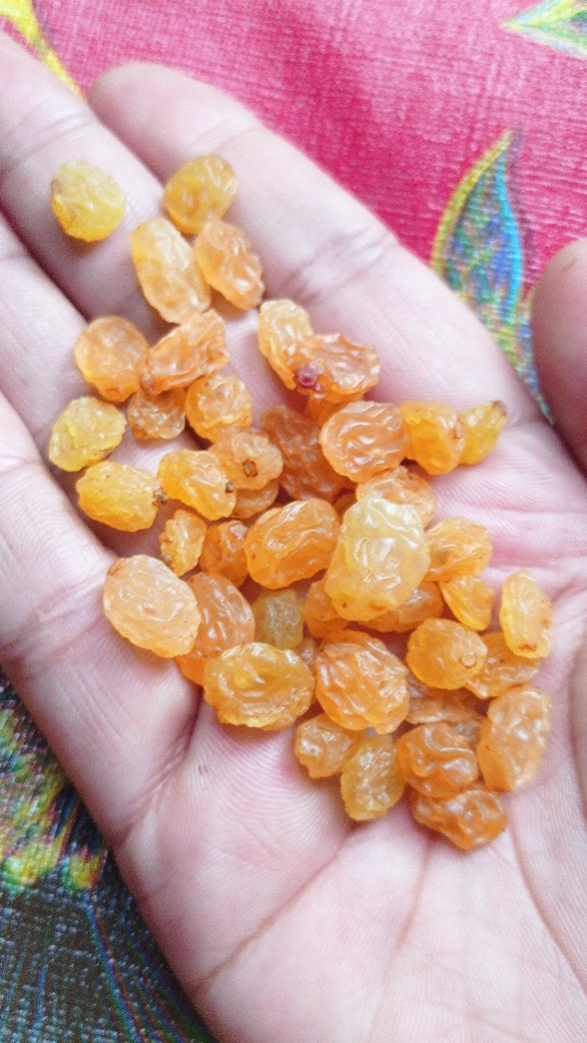 lv_0_20260801141342.jpg