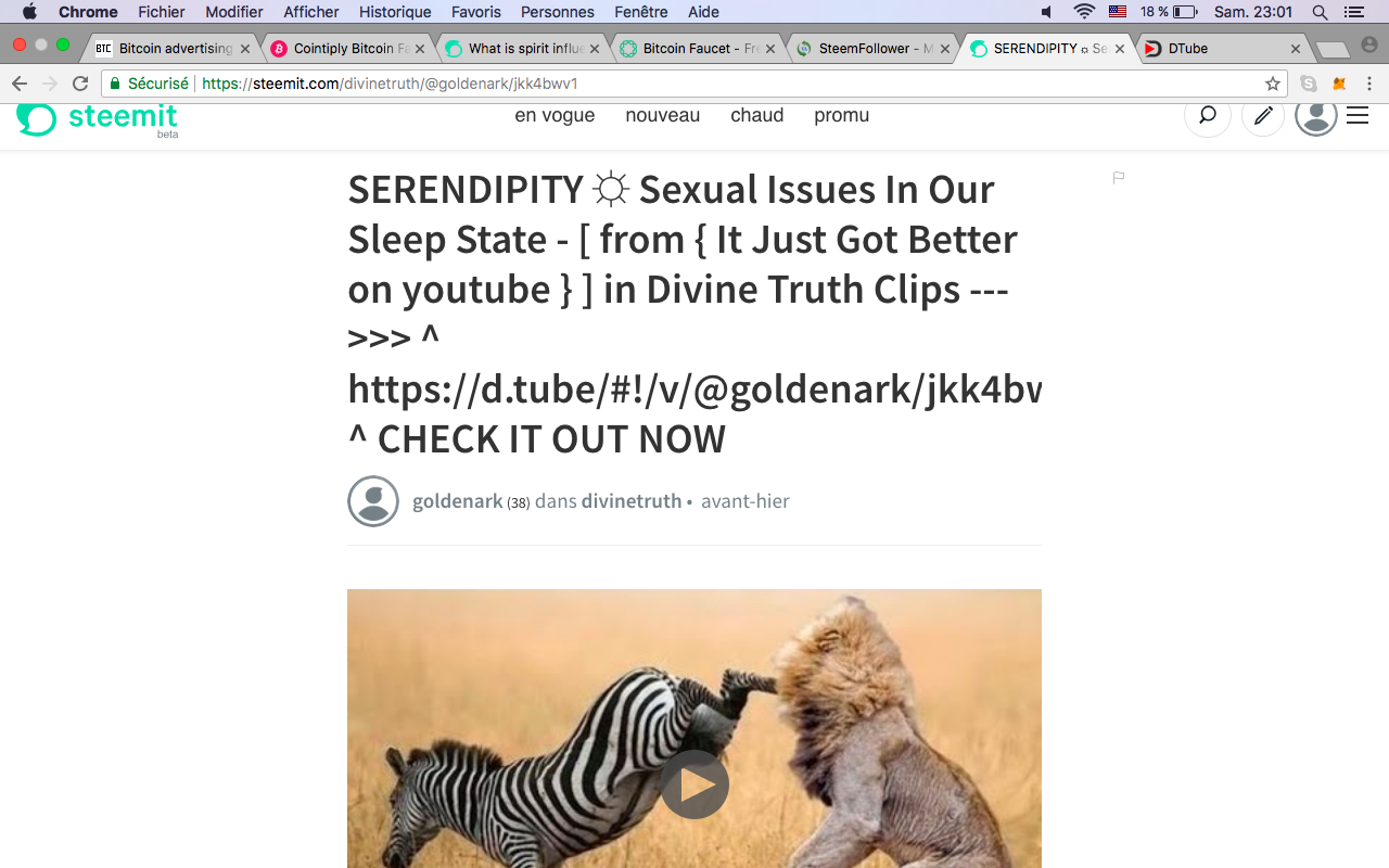 Capture d’écran 2018-05-26 à 23.01.50.png