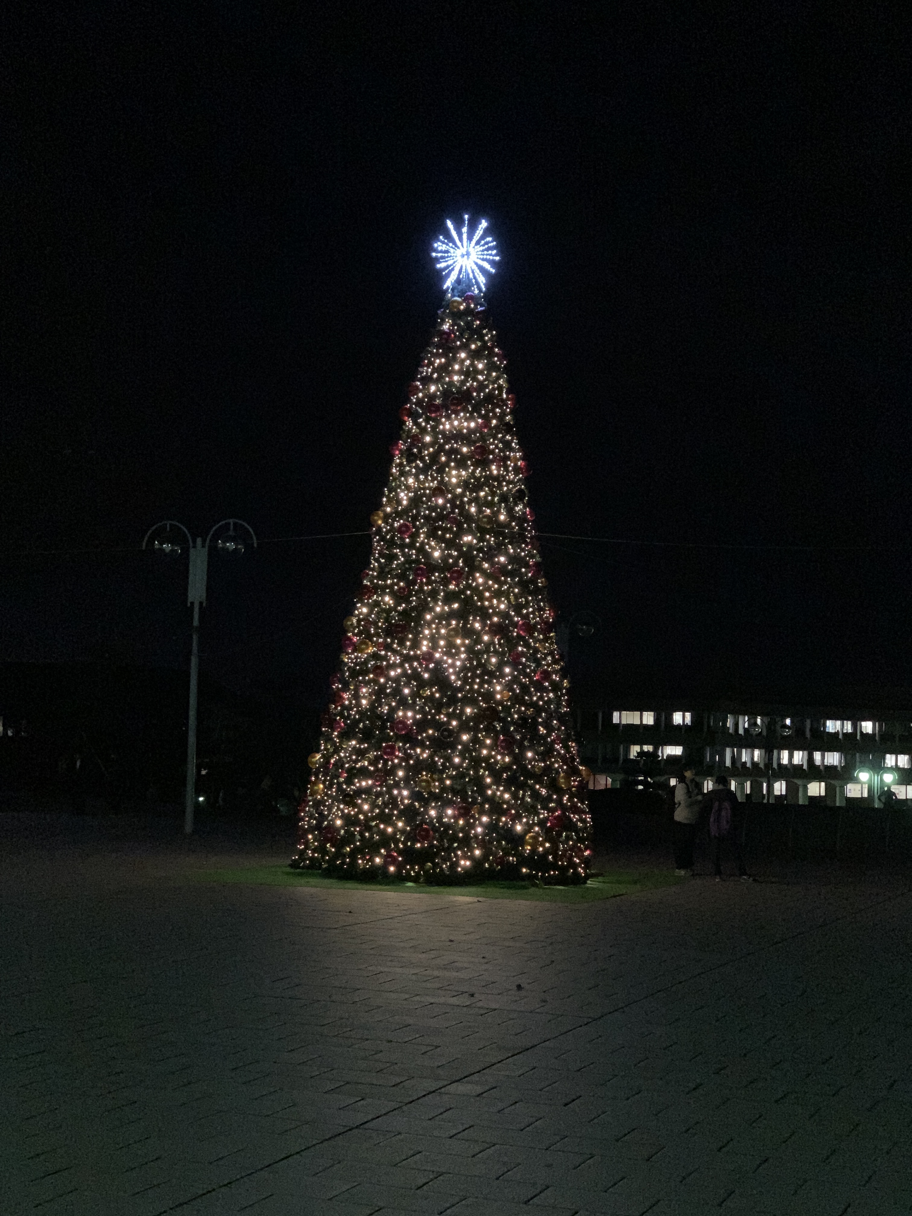 C3CF9C9B-A15F-4872-84E7-0E596C56D199.jpeg