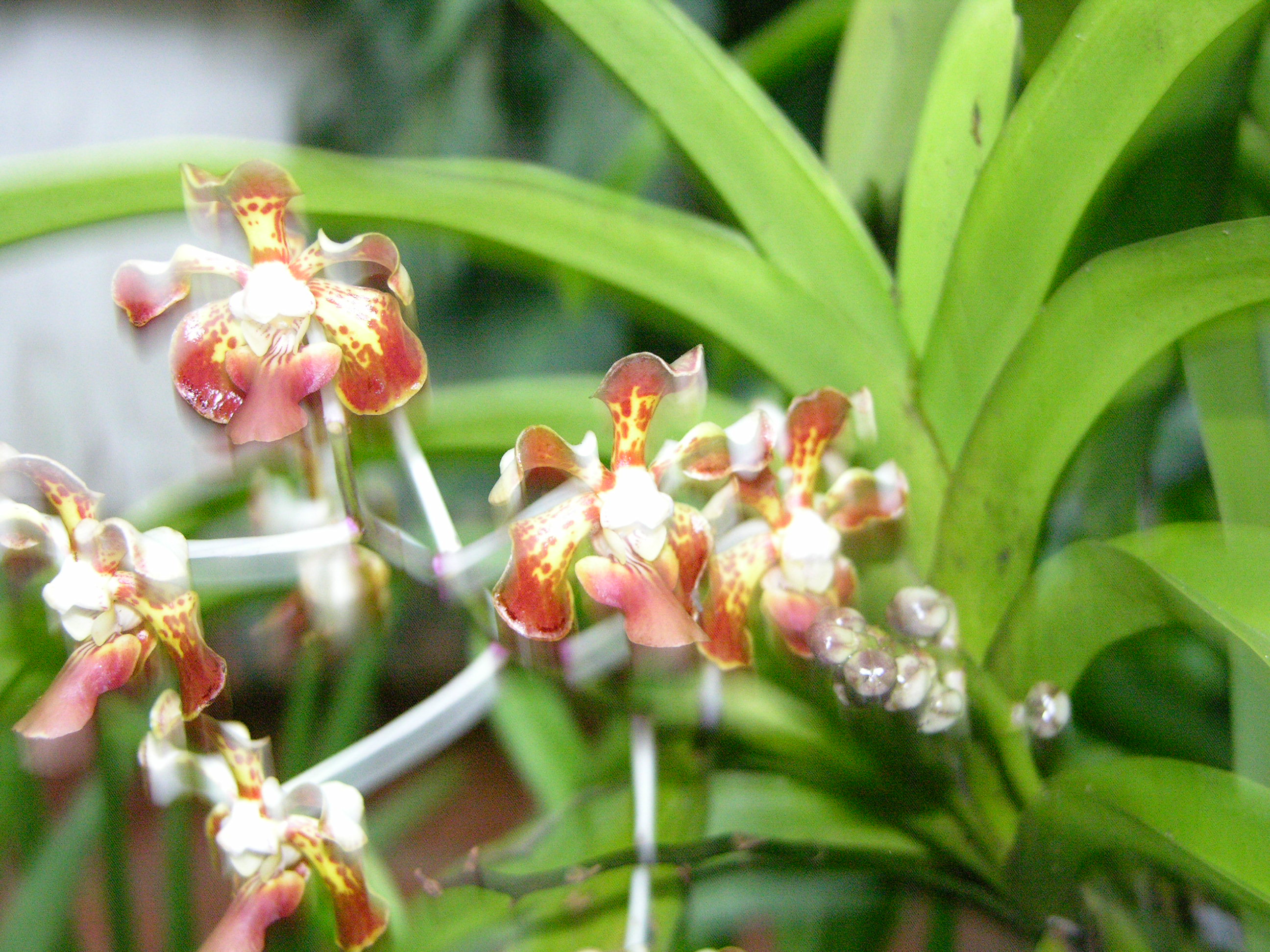 DSCN2402.JPG