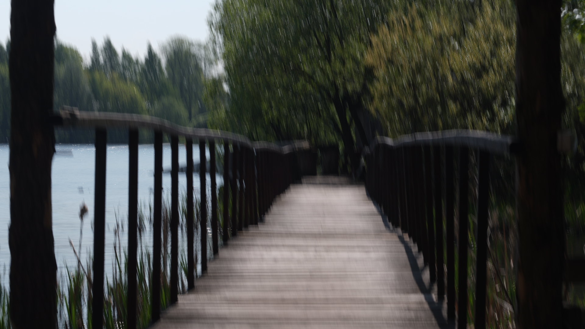 DSC05348.jpg