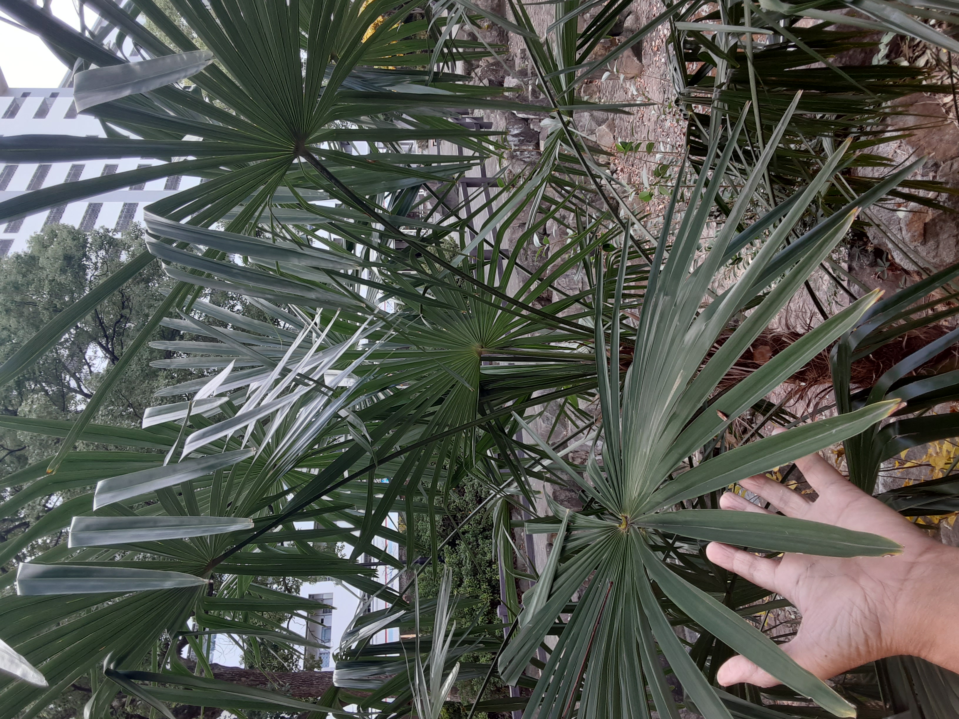 20241208_110315.jpg