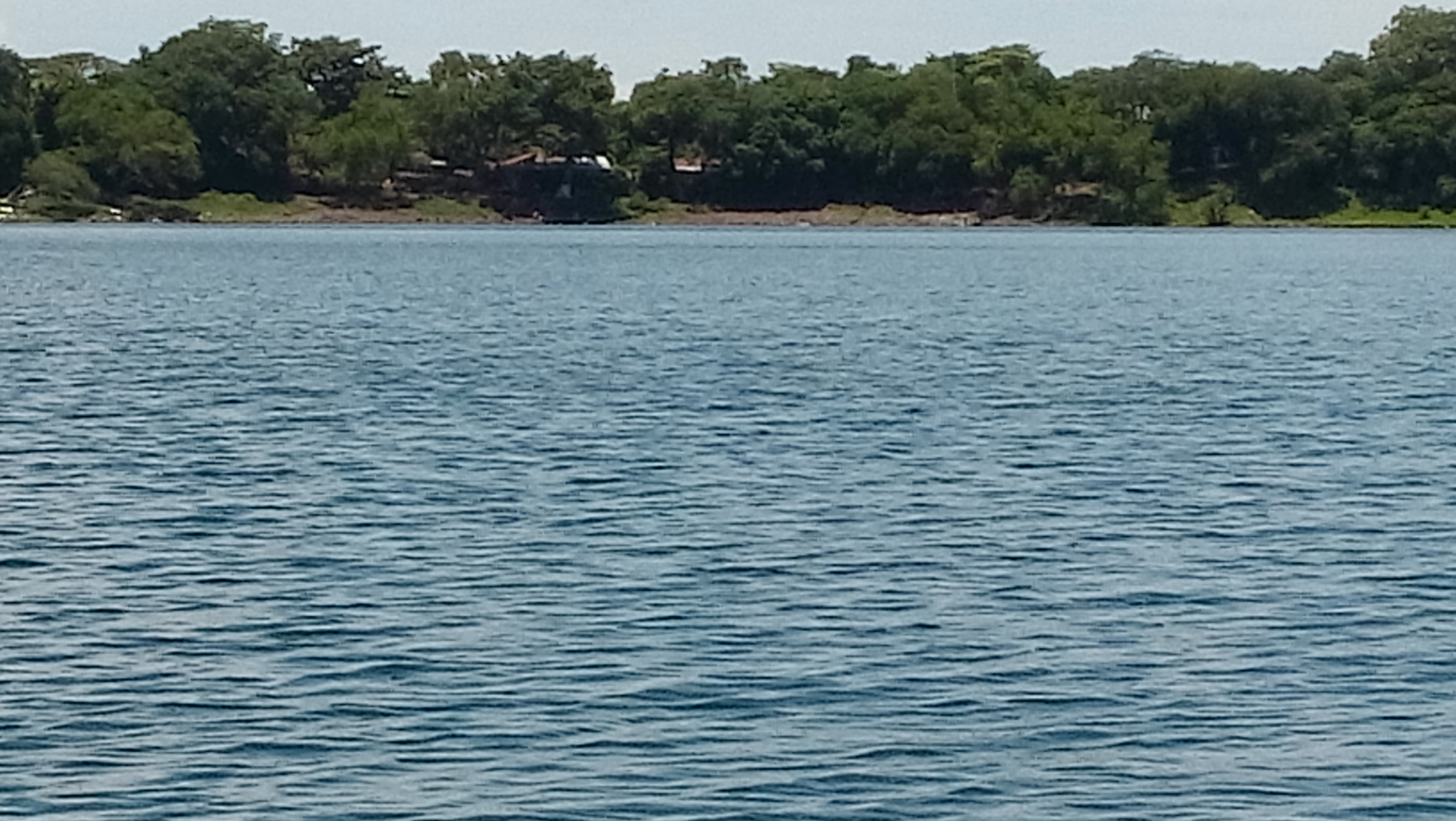 20160724_115853.jpg