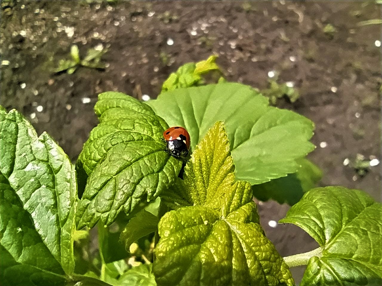 photo_2021-05-28_12-17-14 (2).jpg