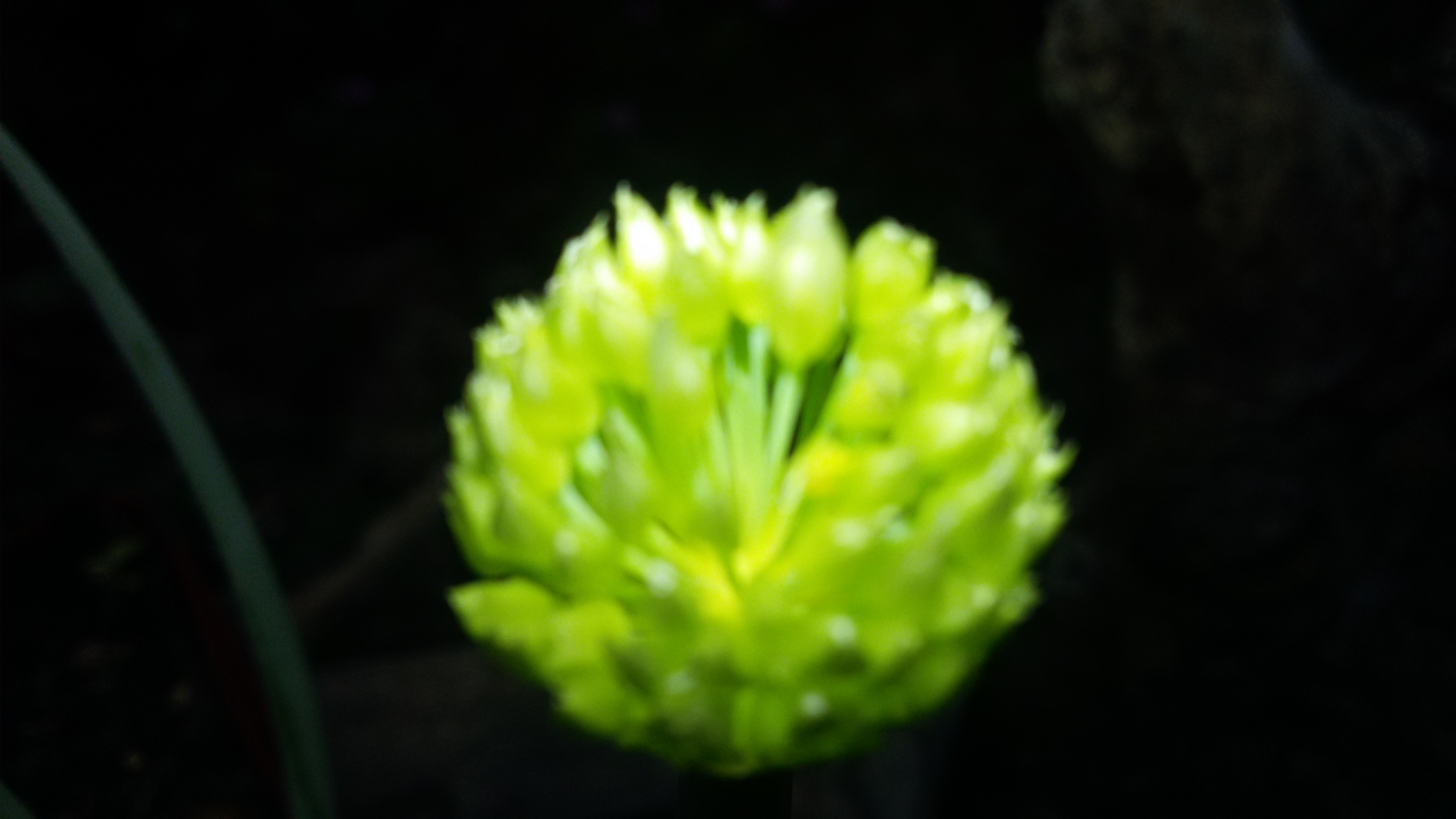 20210418_062634.jpg
