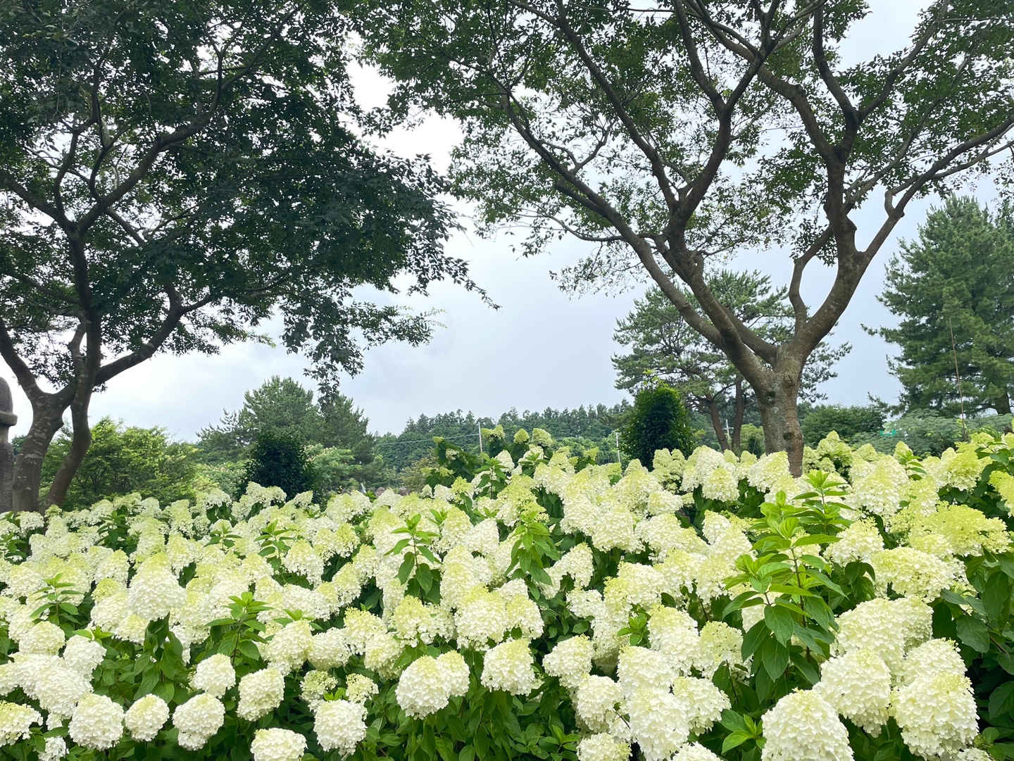 KakaoTalk_20260717_212857915_26.jpg