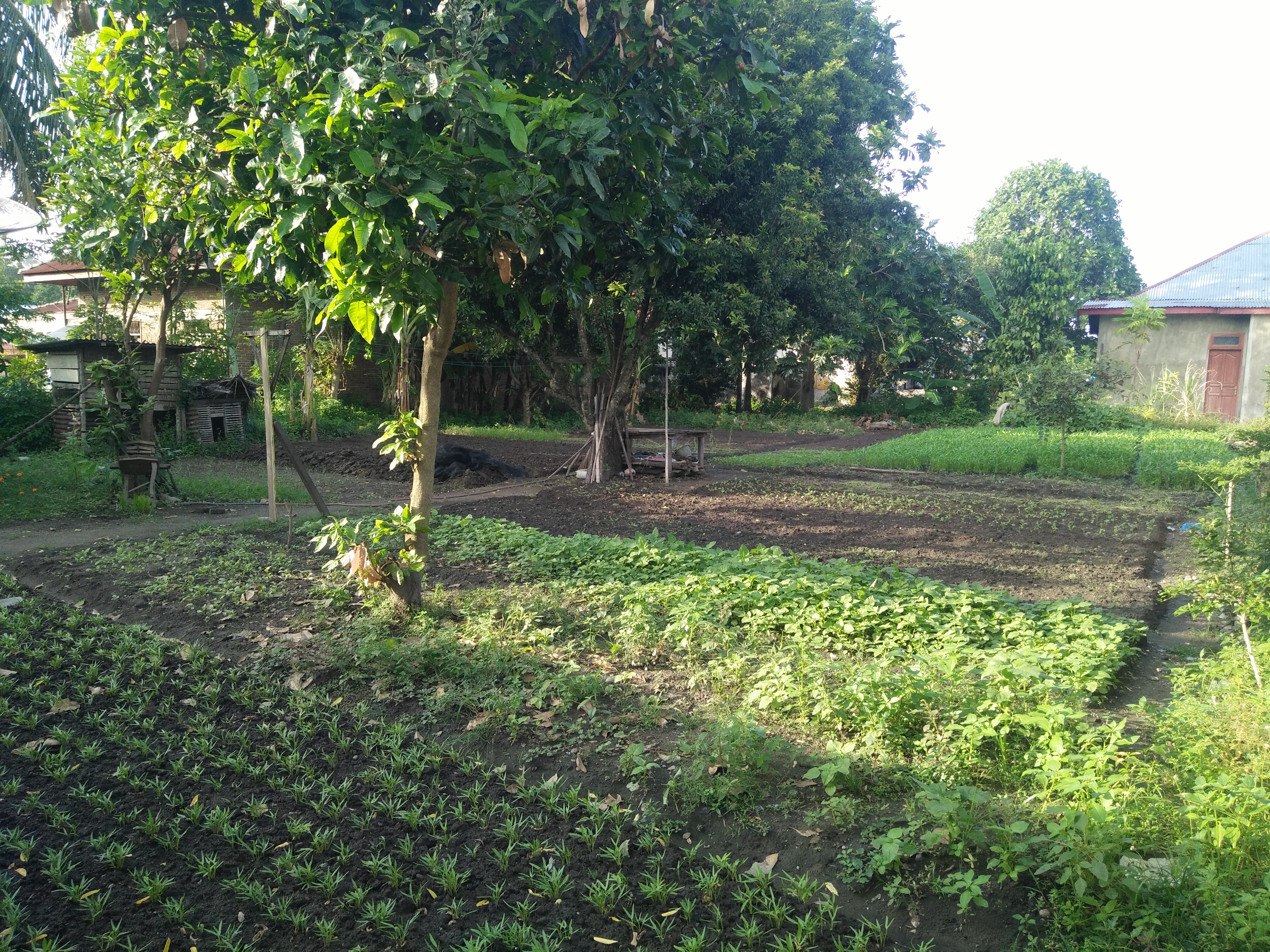 IMG20191204165455.jpg