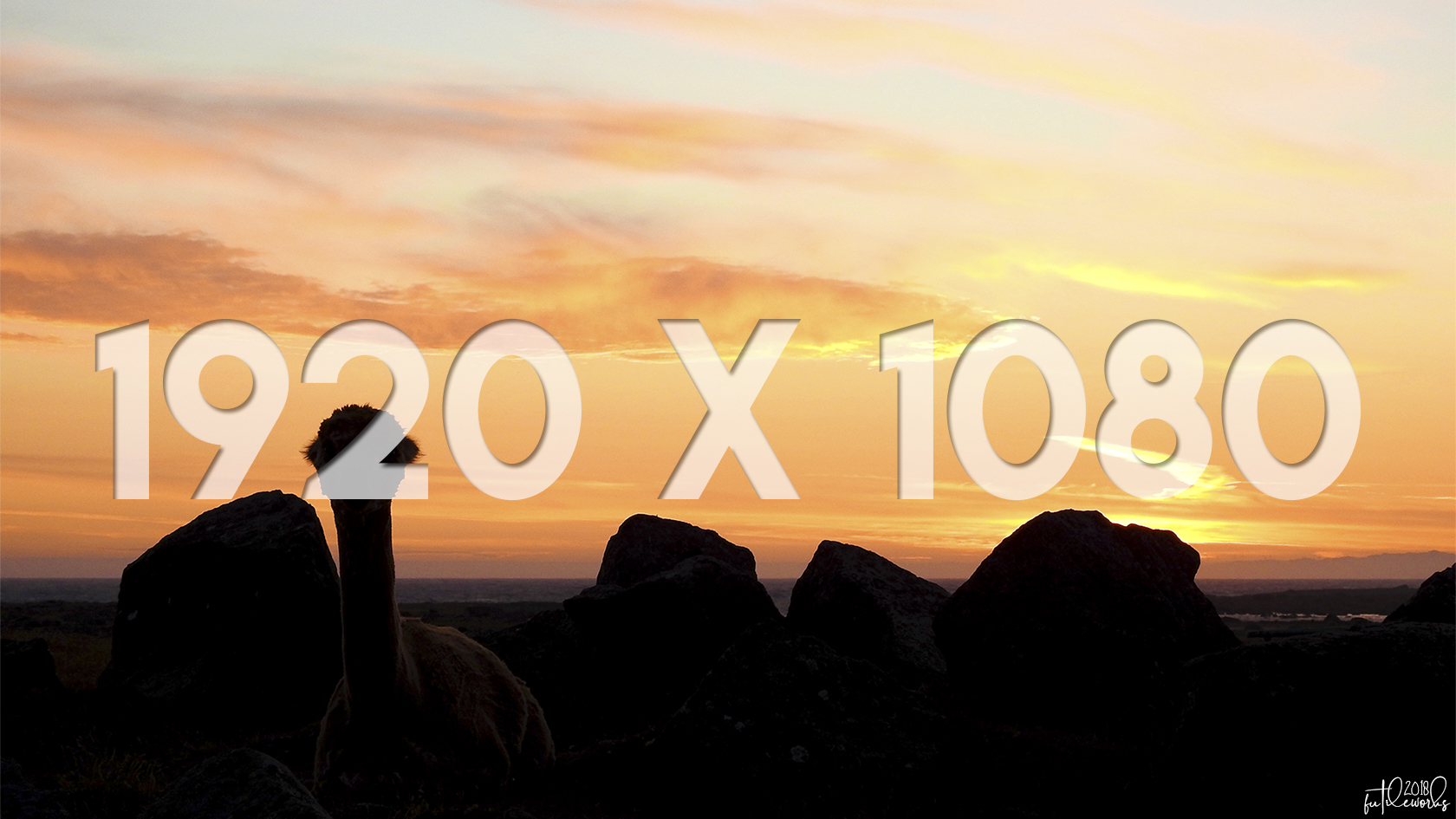 04 1920x1080 Thumbnail Lama at Dusk.jpg