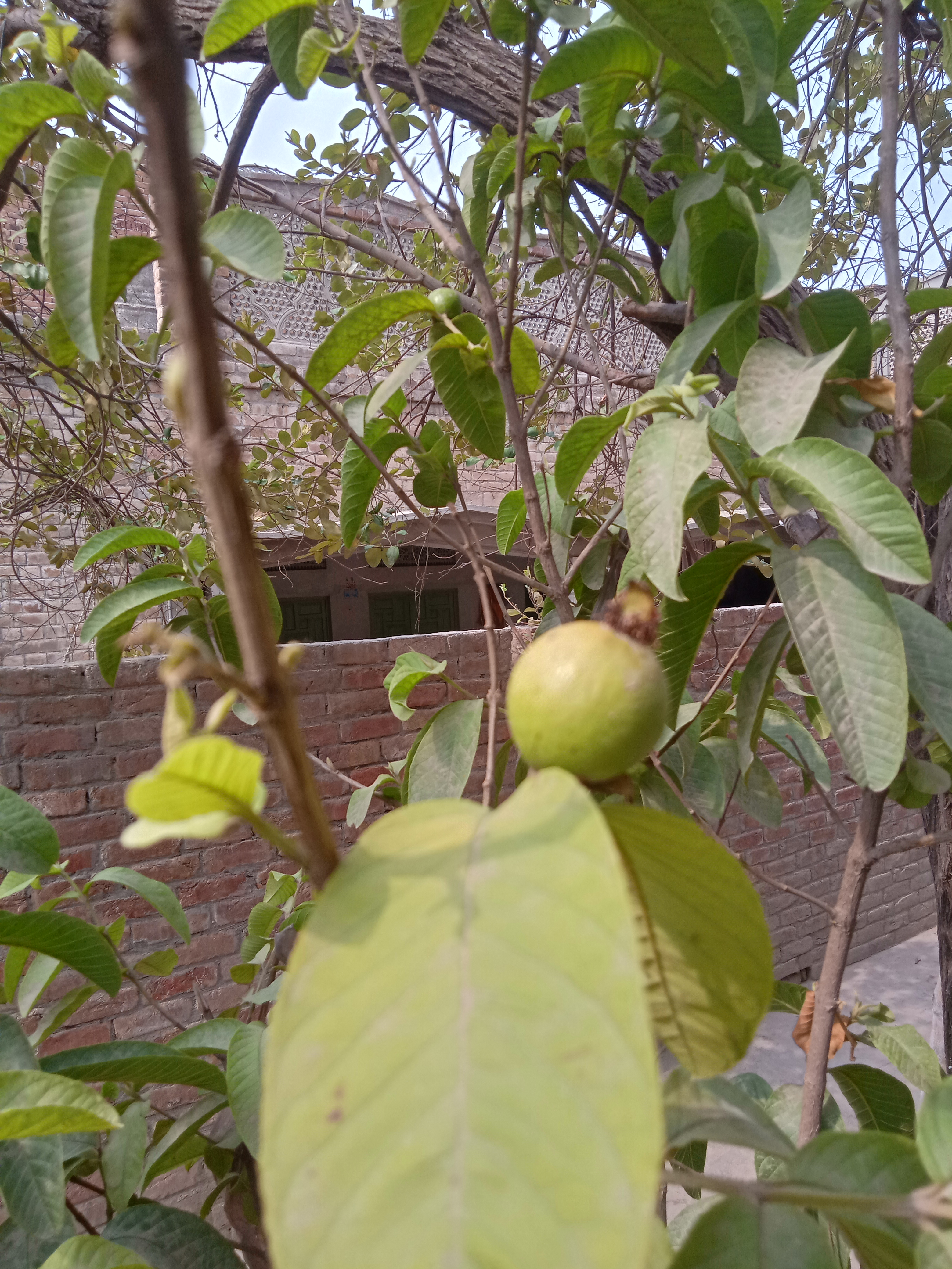 IMG20210712152318.jpg