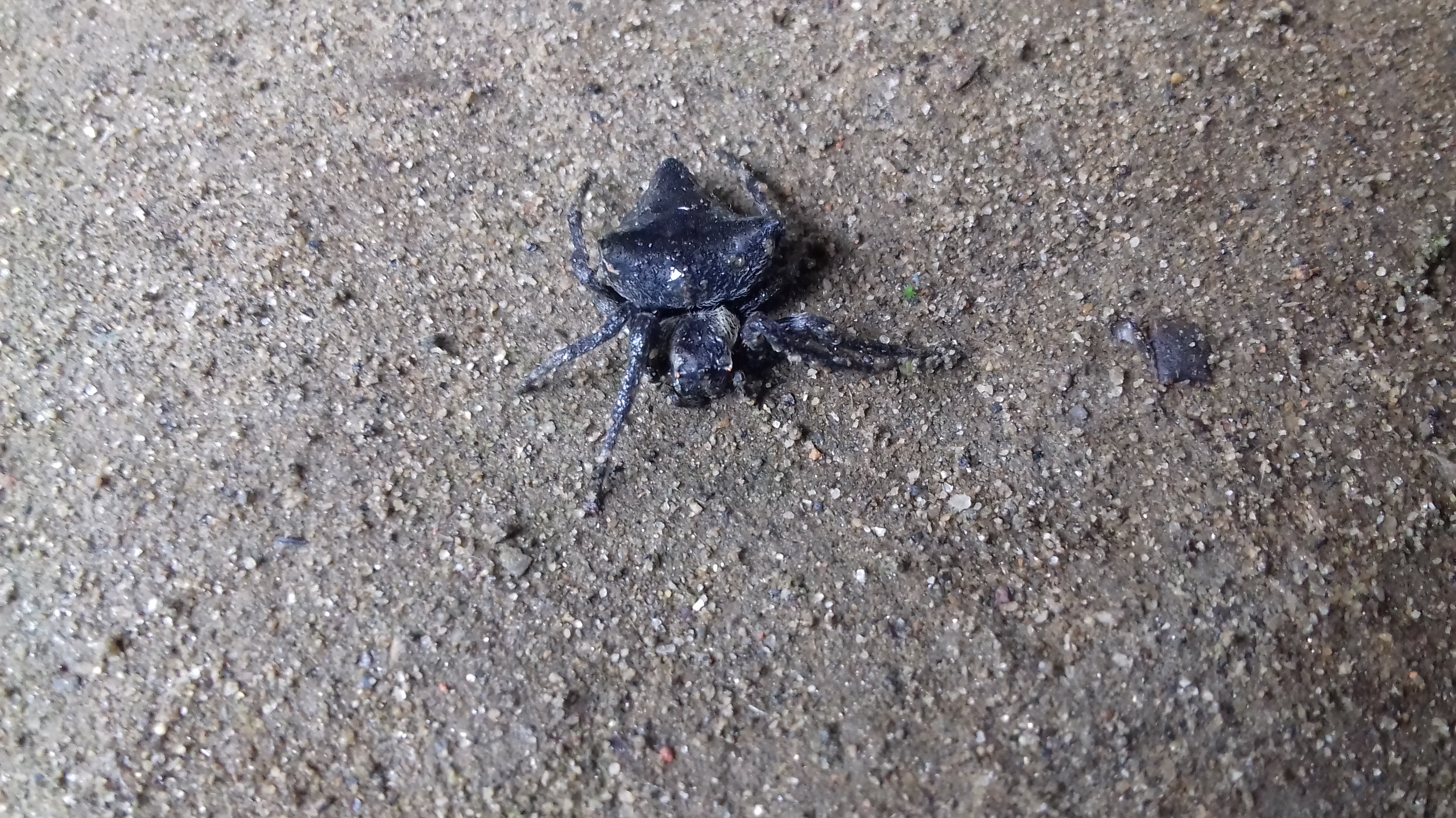 20180731_080419.jpg