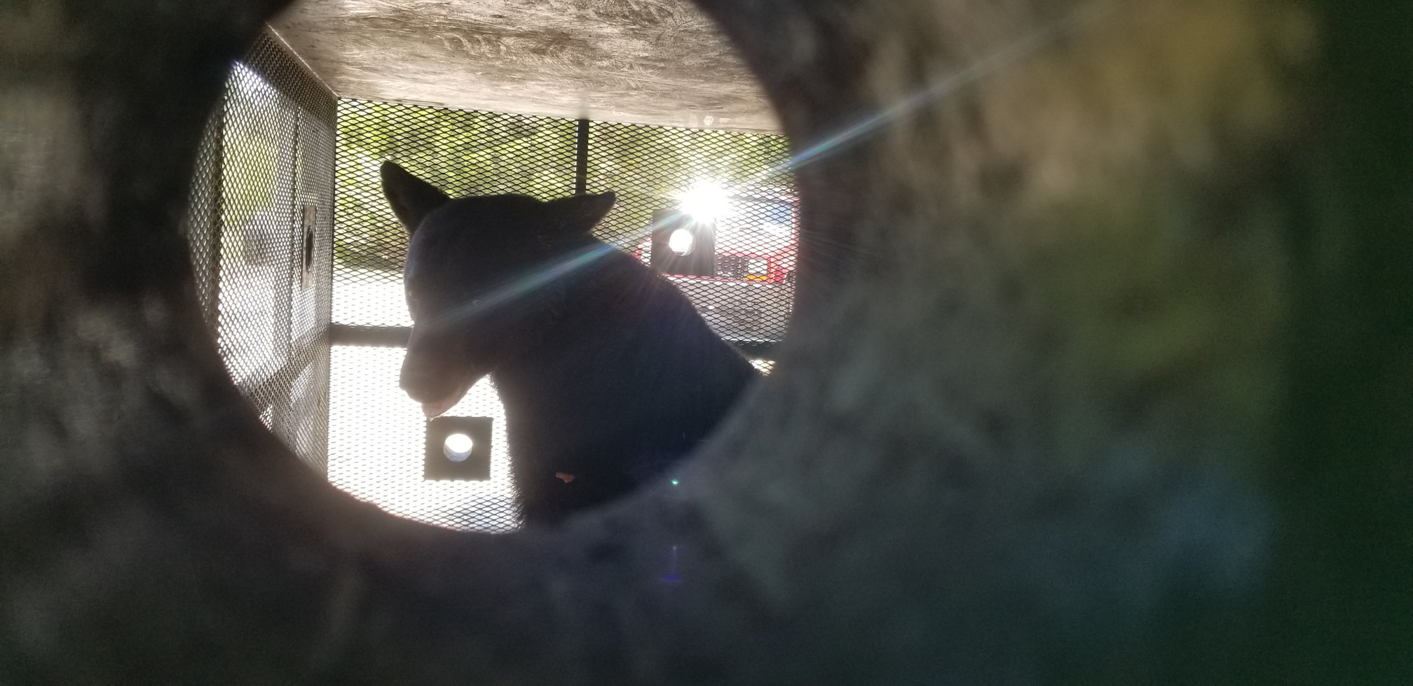 20180504_123807.jpg