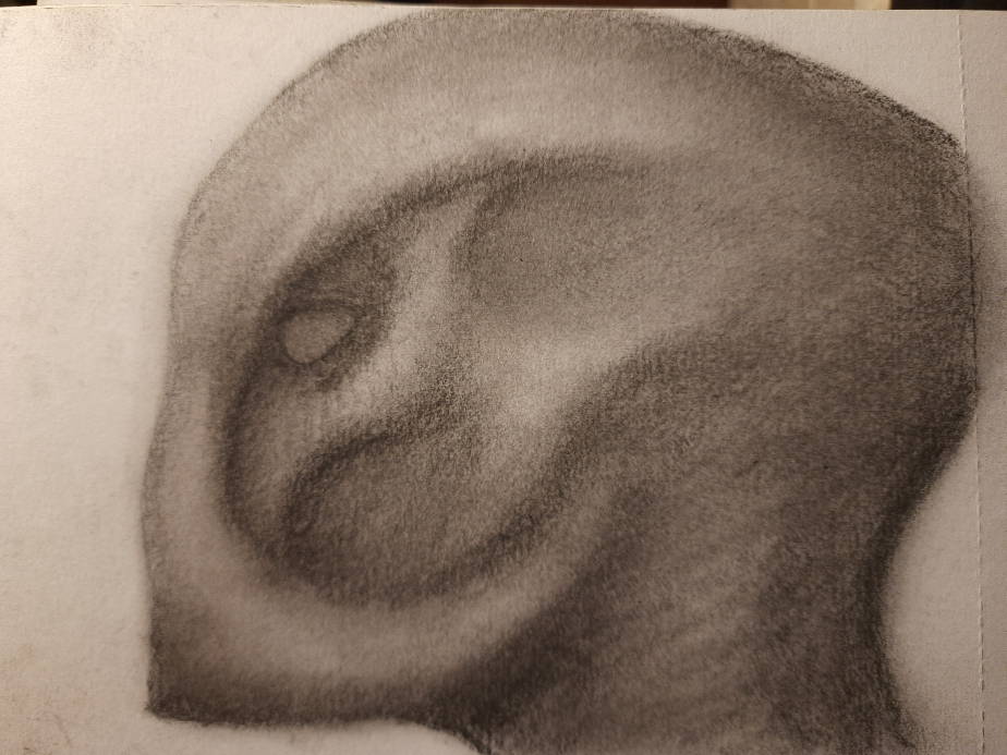 20260702_105904.jpg