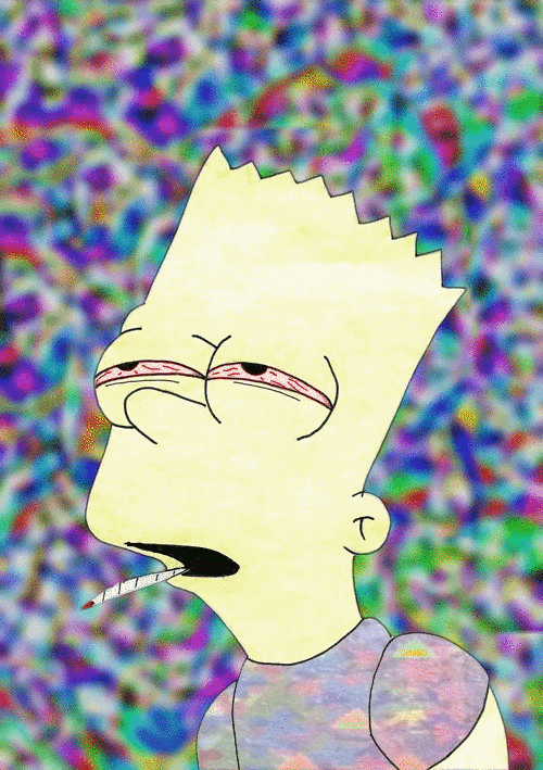 giphy (41).gif