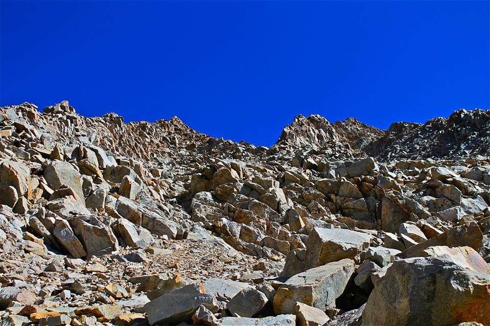 1477988_683437258354082_1145032663_n.jpg