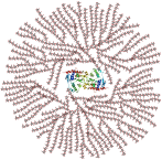 147px-Glycogen_structure.svg.png