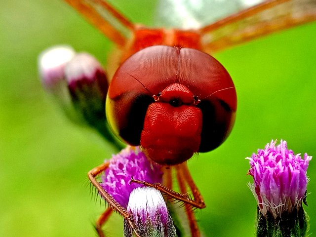 JvFFVmatwWHRfvmtd53nmEJ94xpKydwmbSC5H5svBACH7ytdb47Gx1Nc3thmXkRdfKYPnMQRiFhbXXZUZKVXNJJ1wHDSAdKupeGY9S34SR9Wt6ZHMb3HAWC7cxFwAtBbGk3q8eiBbt.jpg