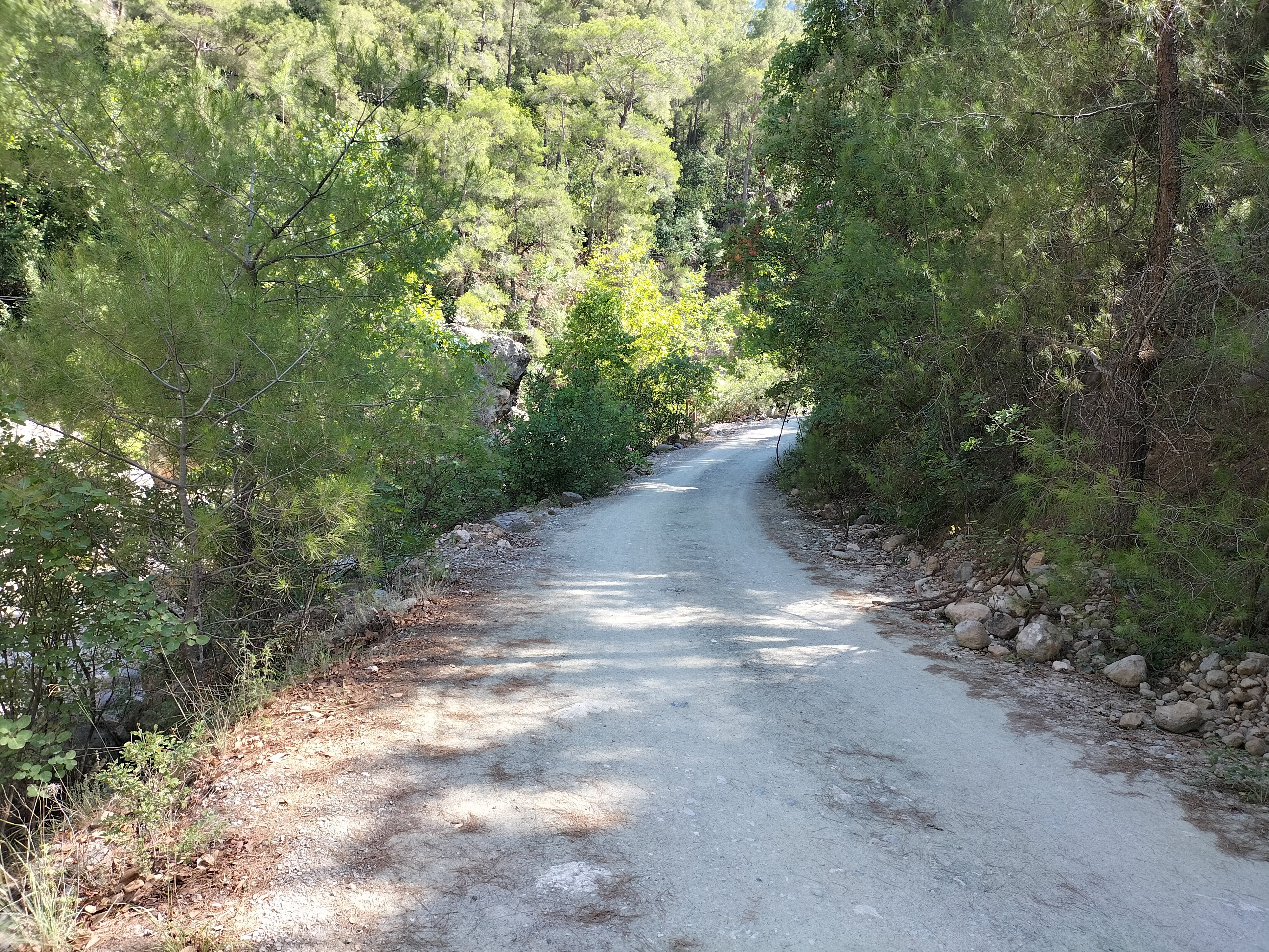IMG20220625163718.jpg